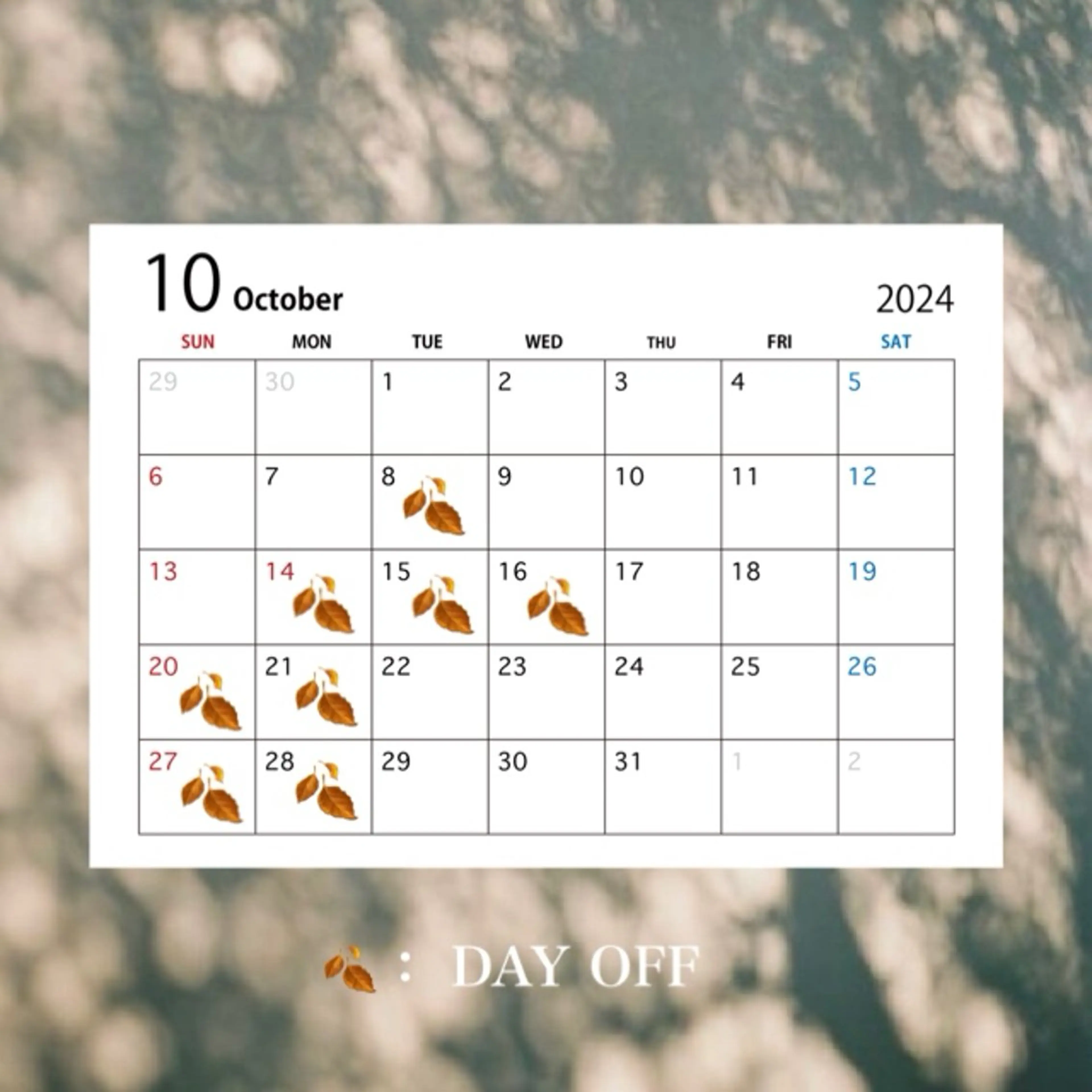 【 Vias 】 mayuのマツエク・マツパデザイン