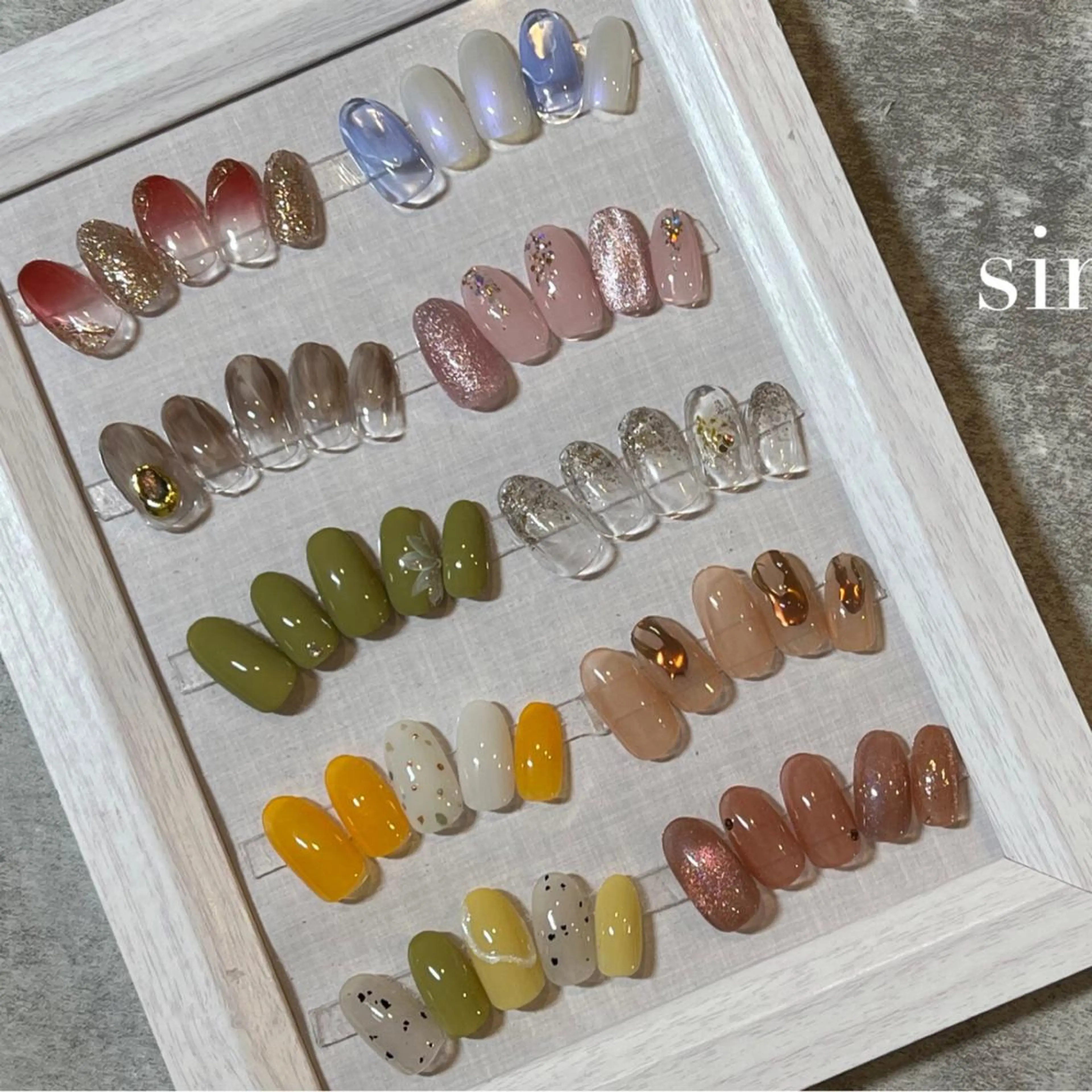 定額シンプルコースの写真