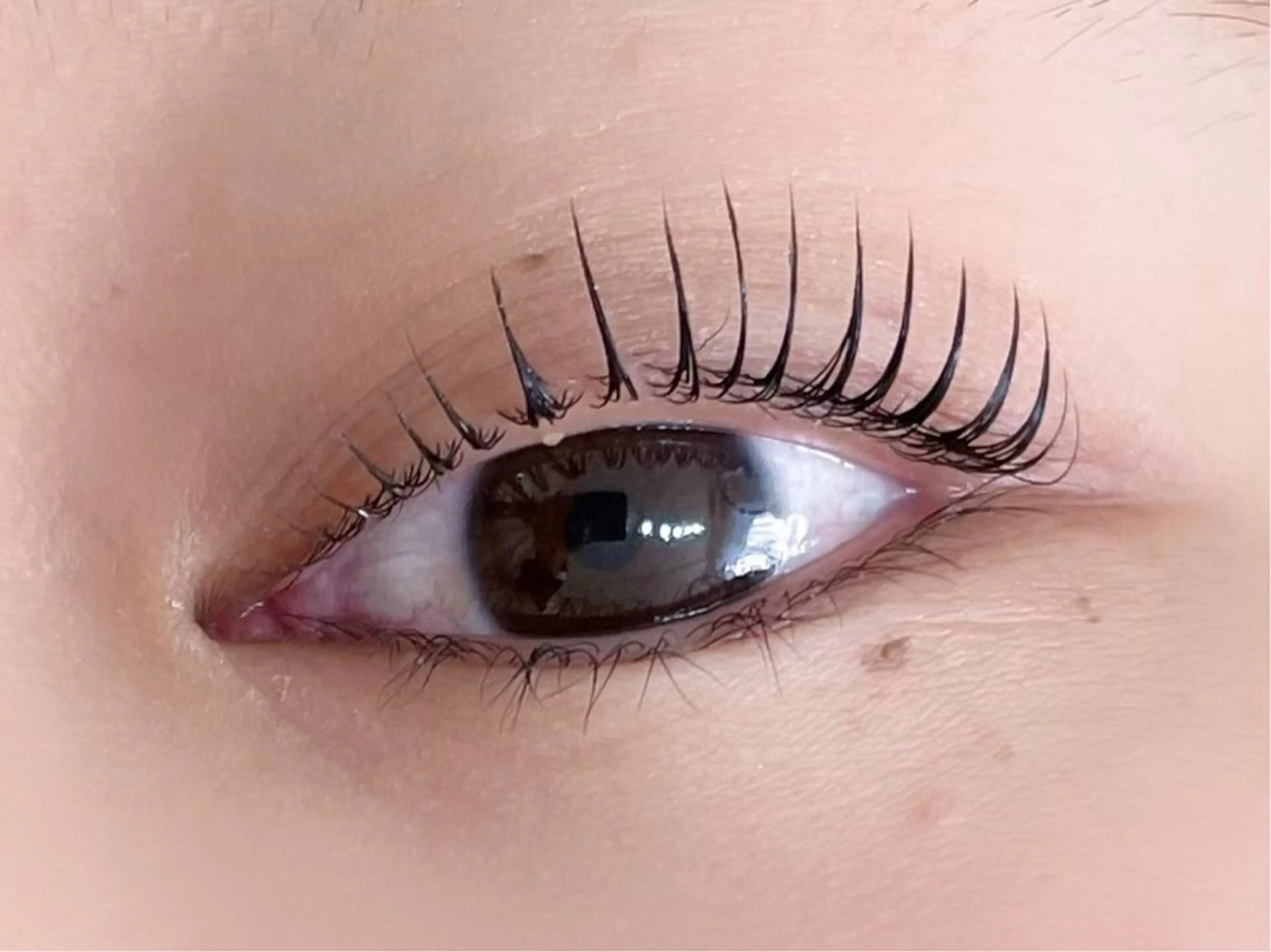 マツエク・マツパ マツパ 🌹みなみ🌹 清末のマツエク・マツパデザイン