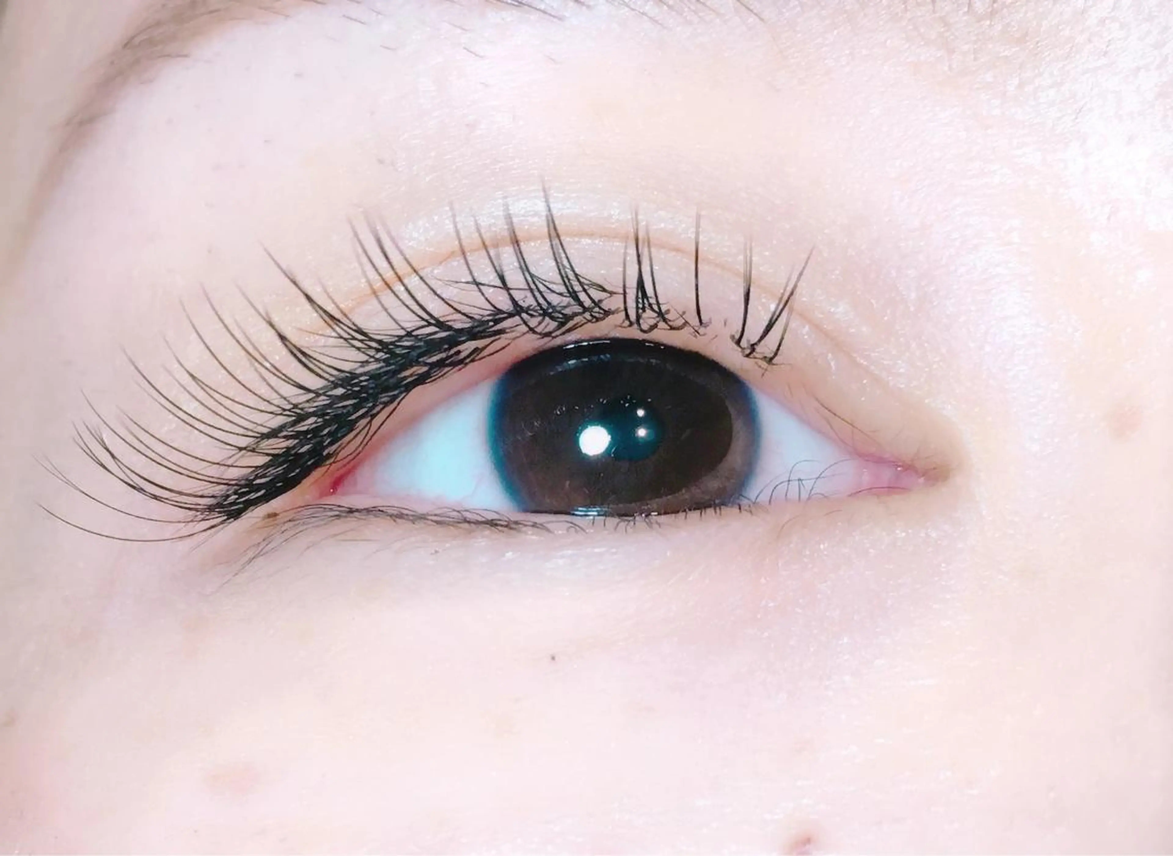 【新規オフ込】人気No.☆フラットマットラッシュ100本の写真