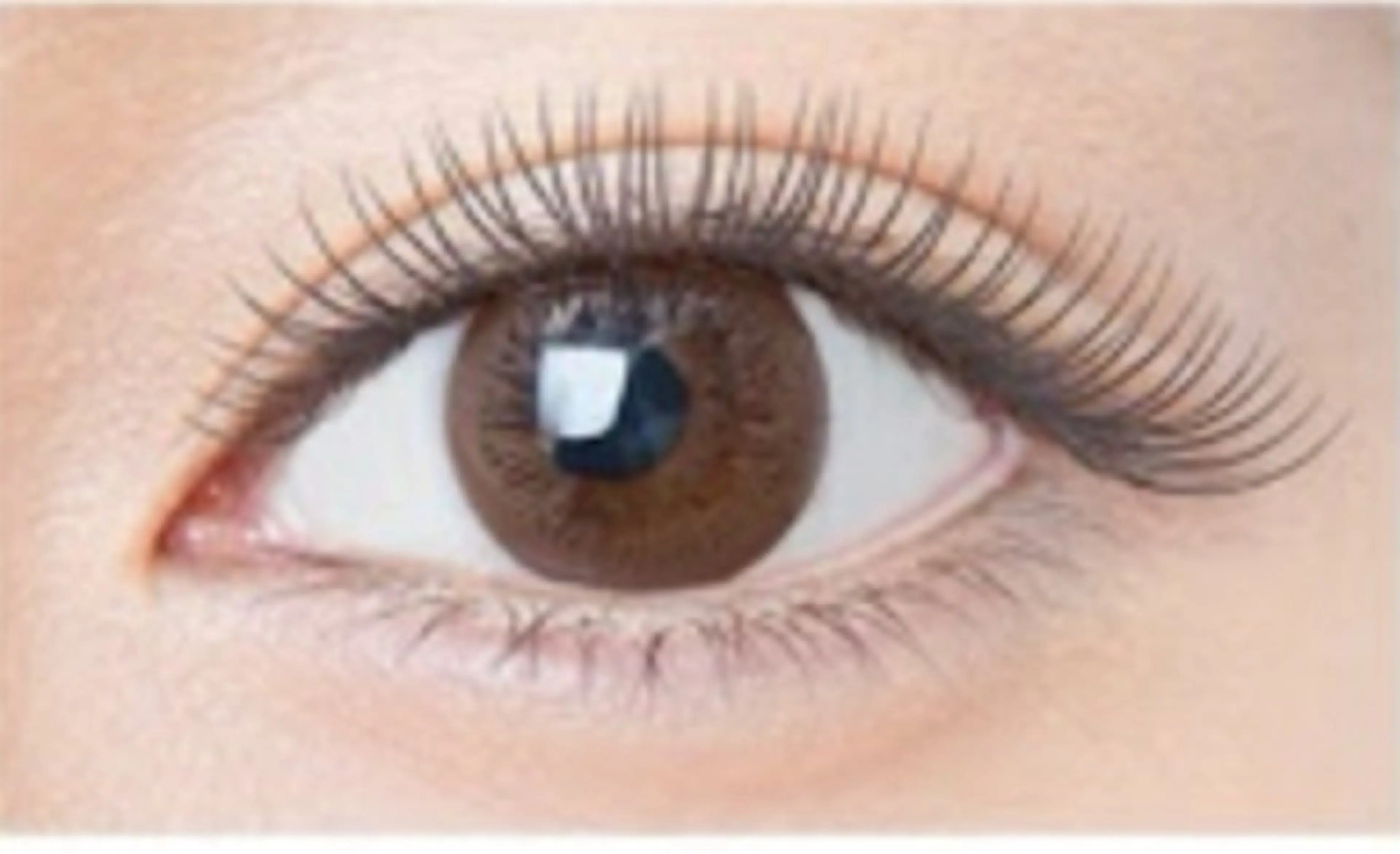 マツエク・マツパ アイブロウサロン i'mアカデミーの眉毛・アイブロウイメージ