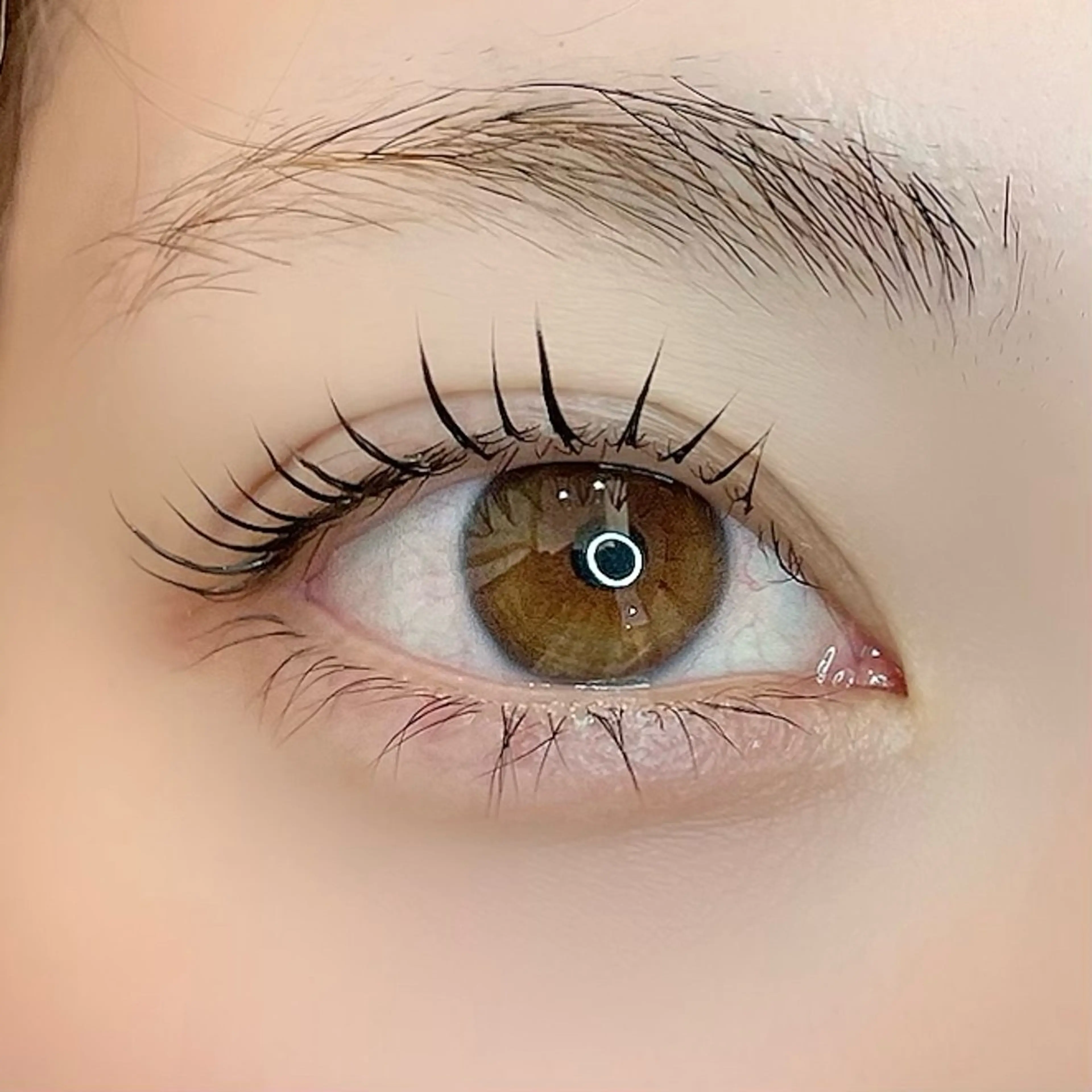 マツエク・マツパ ☘️Occhi ☘️のマツエク・マツパデザイン