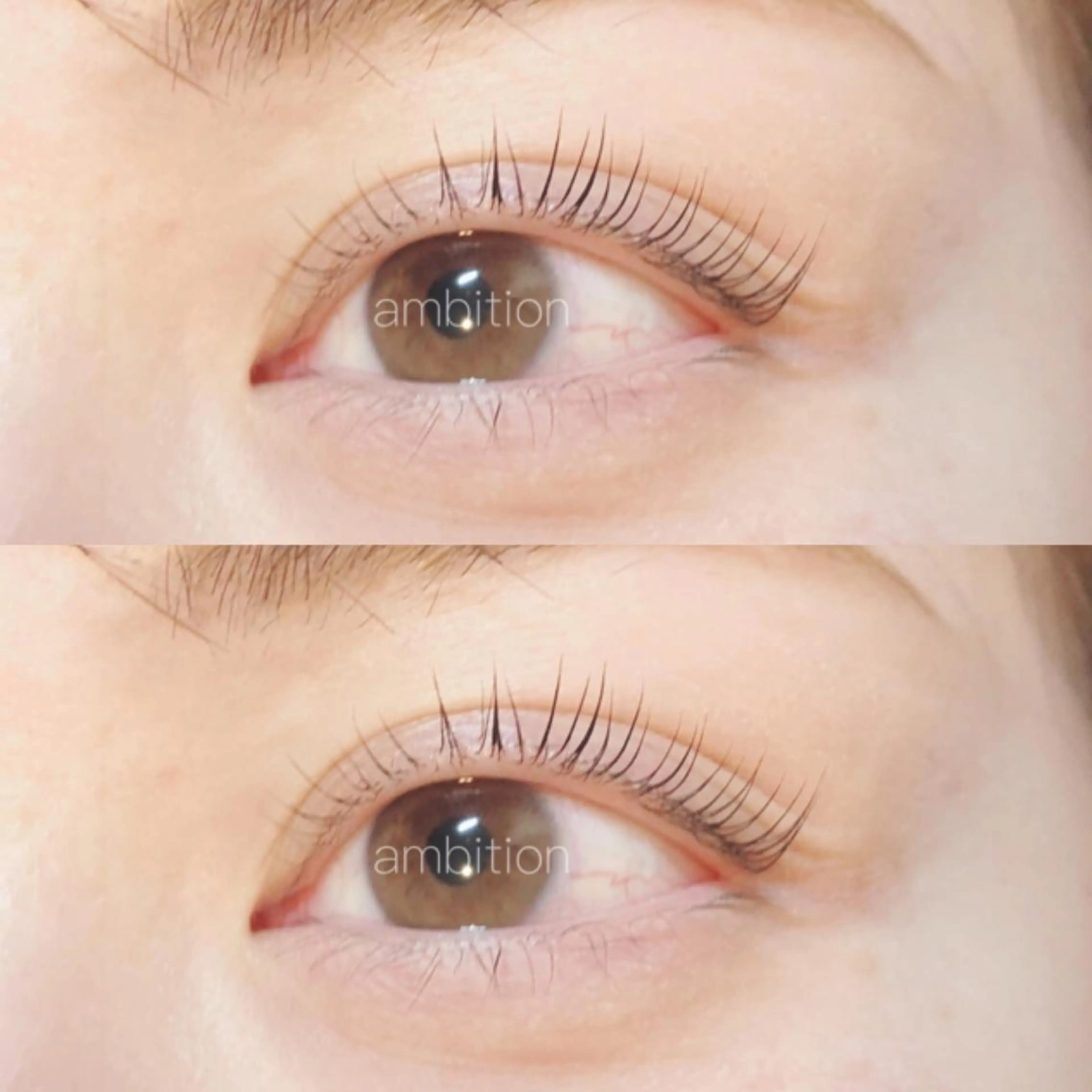 マツエク・マツパ パリジェンヌラッシュリフト デイジーラッシュ 大阪駅前第3ビルのマツエク・マツパデザイン