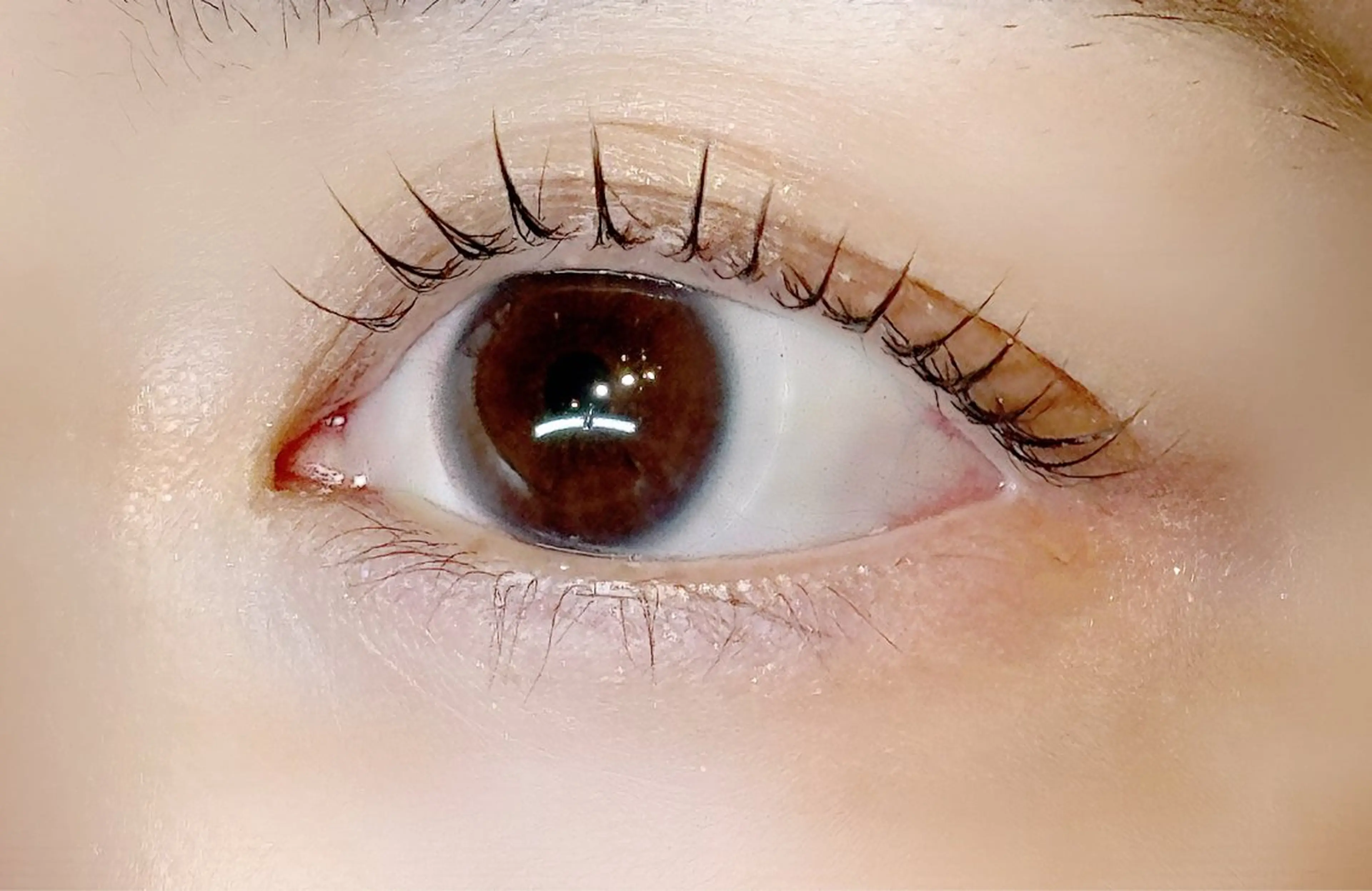 🌼*･【パリジェンヌ】or【似合わせまつげパーマ】➕アイパック🌼*･束感仕上げ付き🐣￥5,000の写真