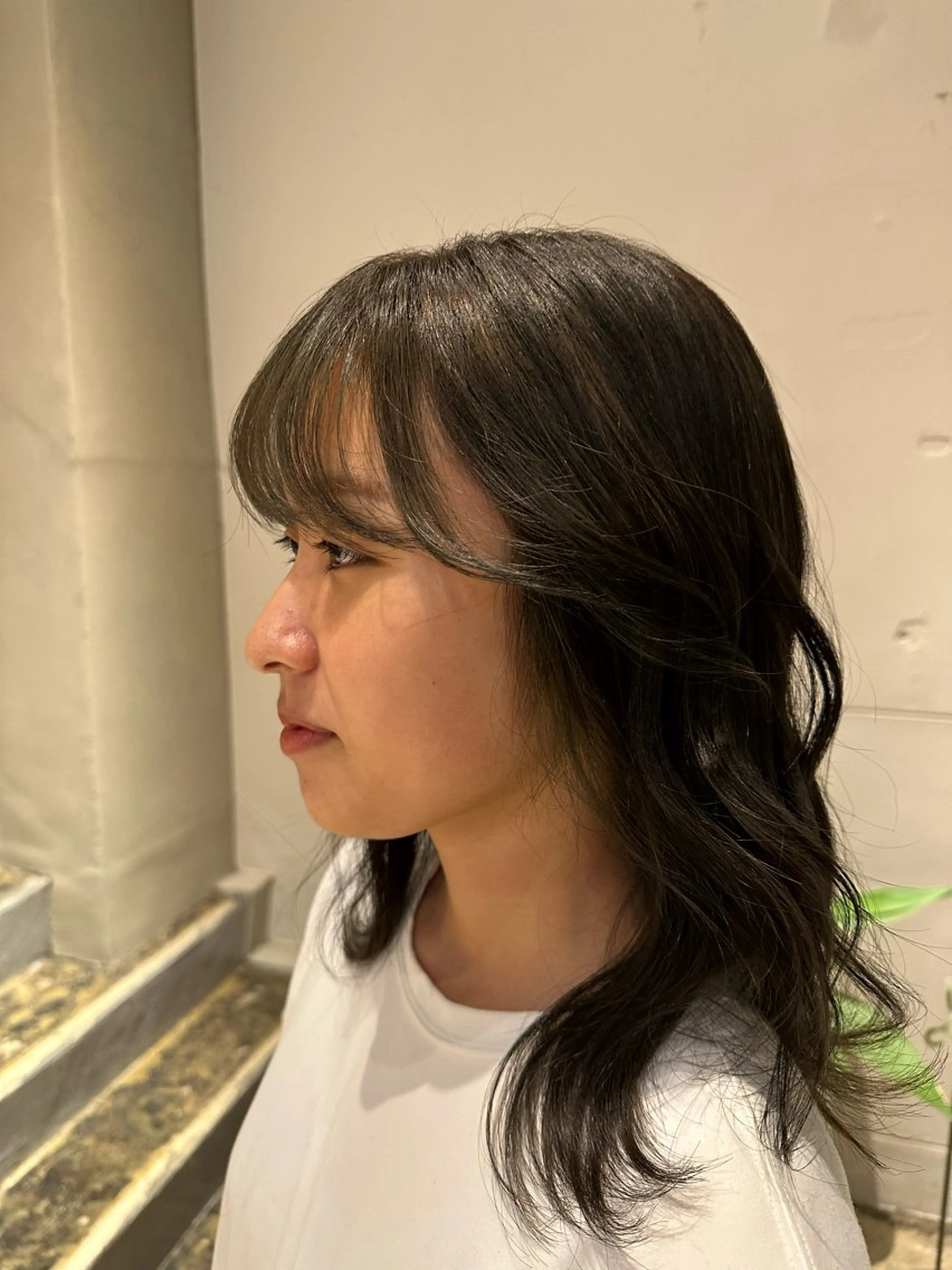 カラー ナチュラルカラー /カット/藤井美冬のヘアスタイル
