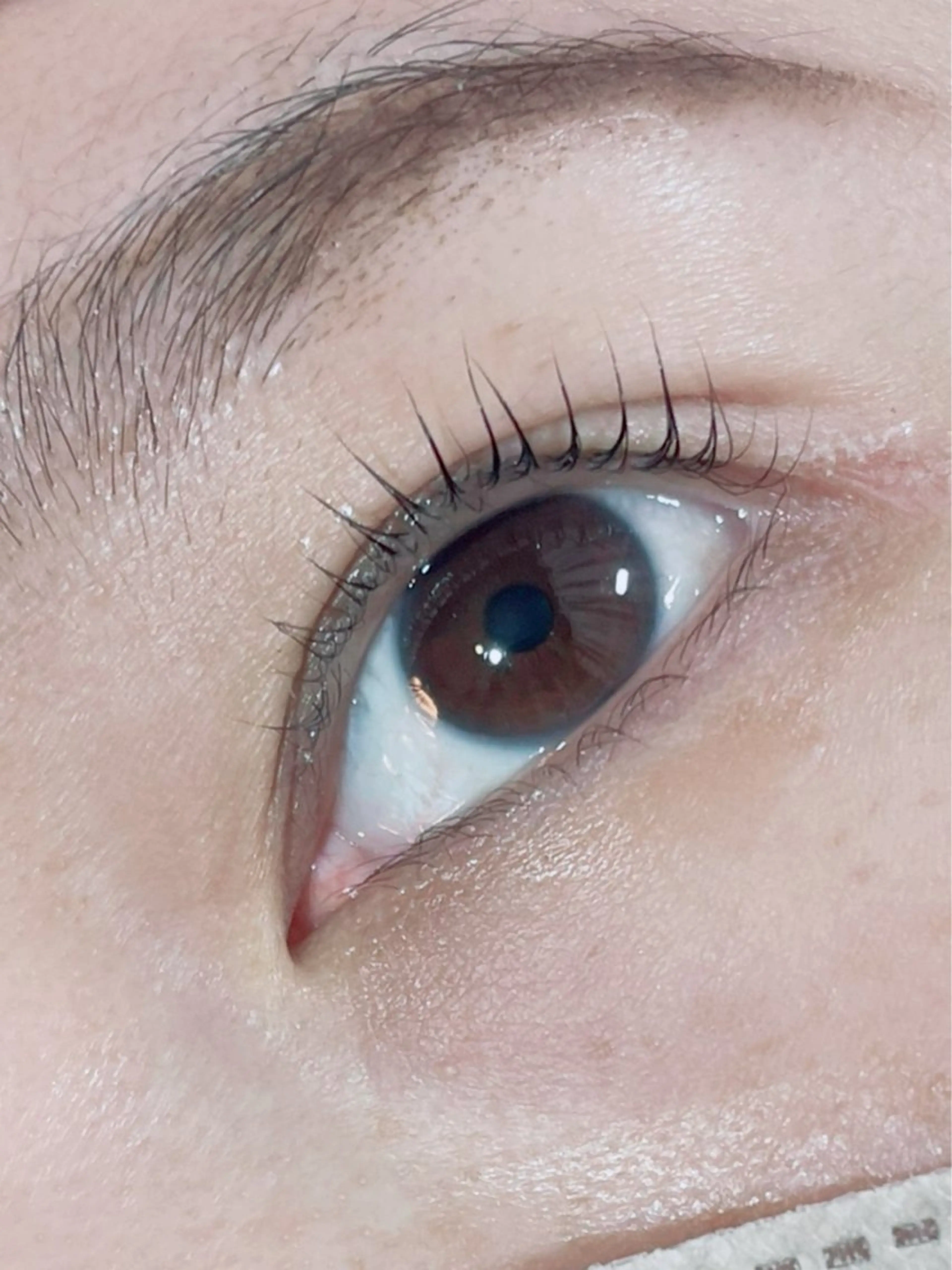 マツエク・マツパ 完全個室サロン Anjirのエステ・リラクイメージ