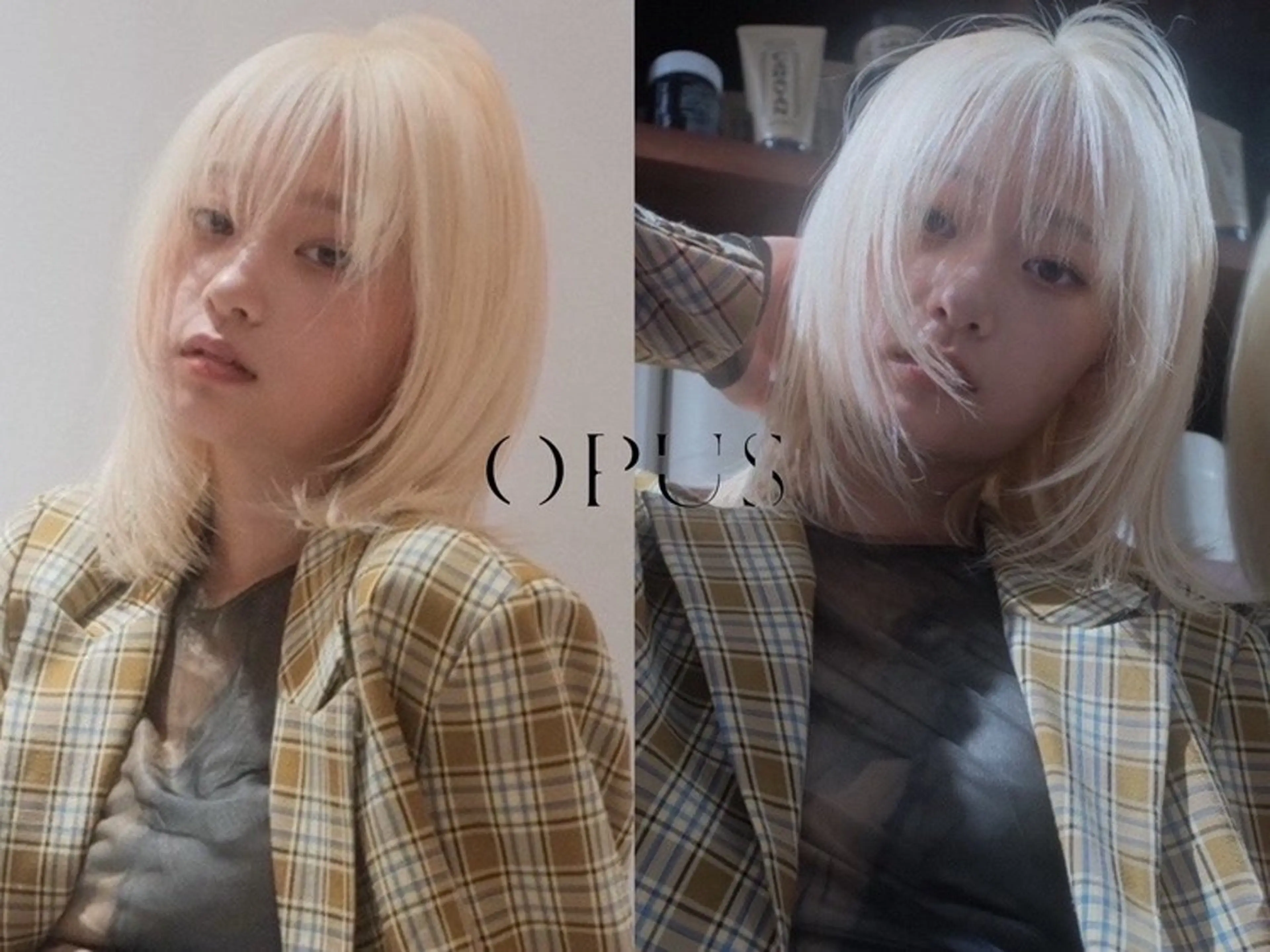 【⭐️ミニモSALE⭐️】40%off カット➕ケアカラー➕TOKIO4step TRの写真