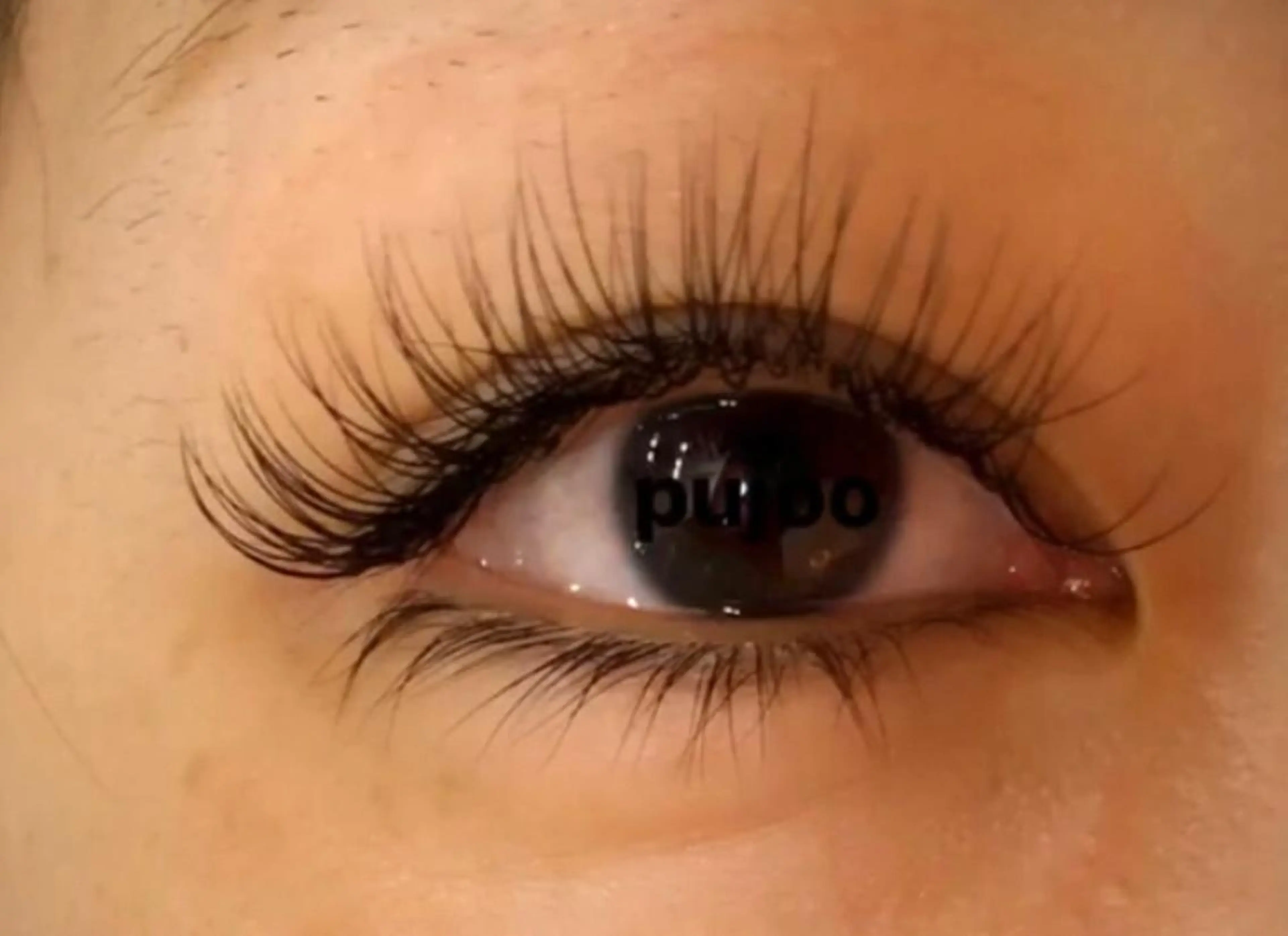 マツエク・マツパ セーブル LEDマツエク LeaLeaのマツエク・マツパデザイン