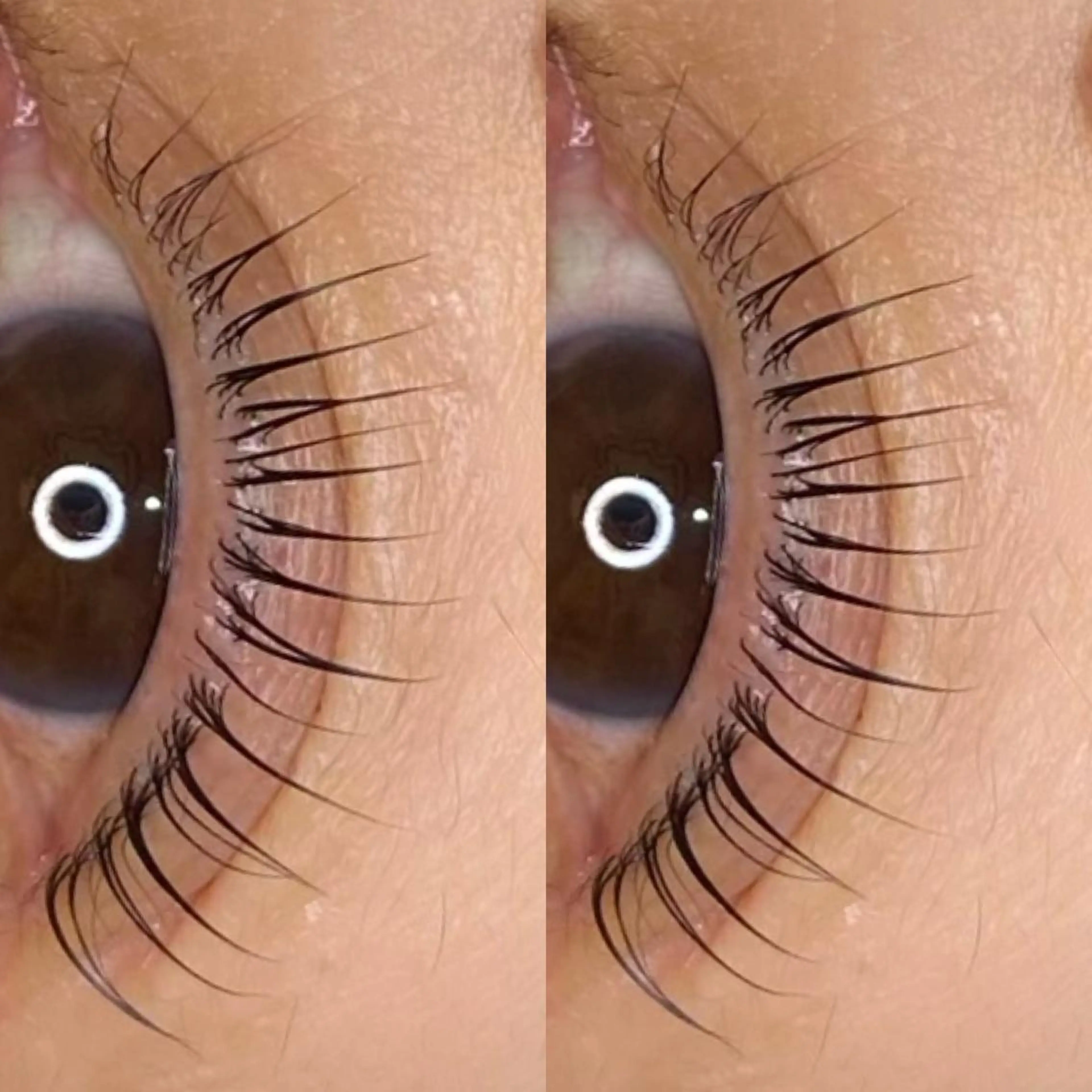 【半額】パリジェンヌor似合わせラッシュリフトの写真