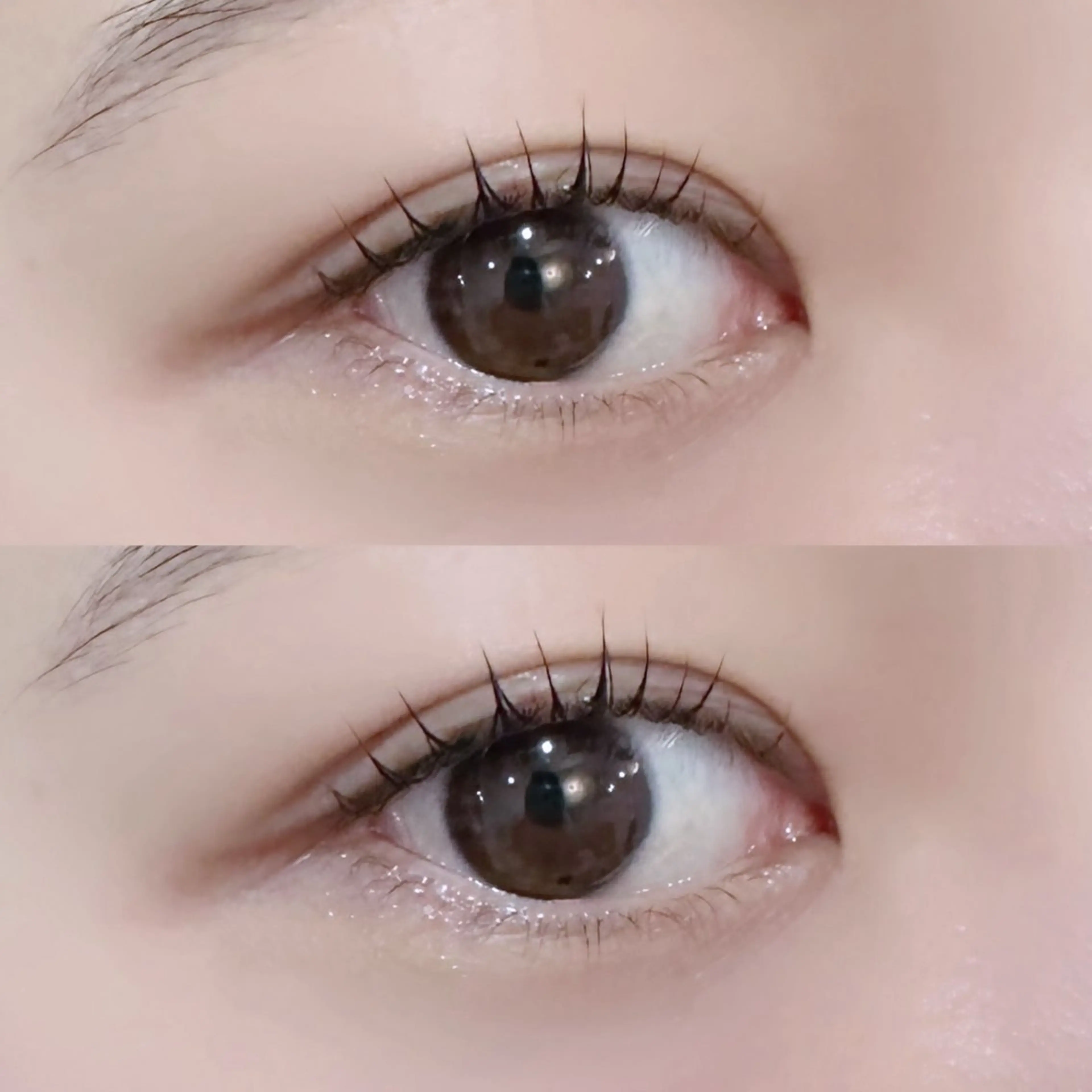 マツエク・マツパ Lカール マツパ 【MEPP】たにわき ゆうなの眉毛・アイブロウイメージ