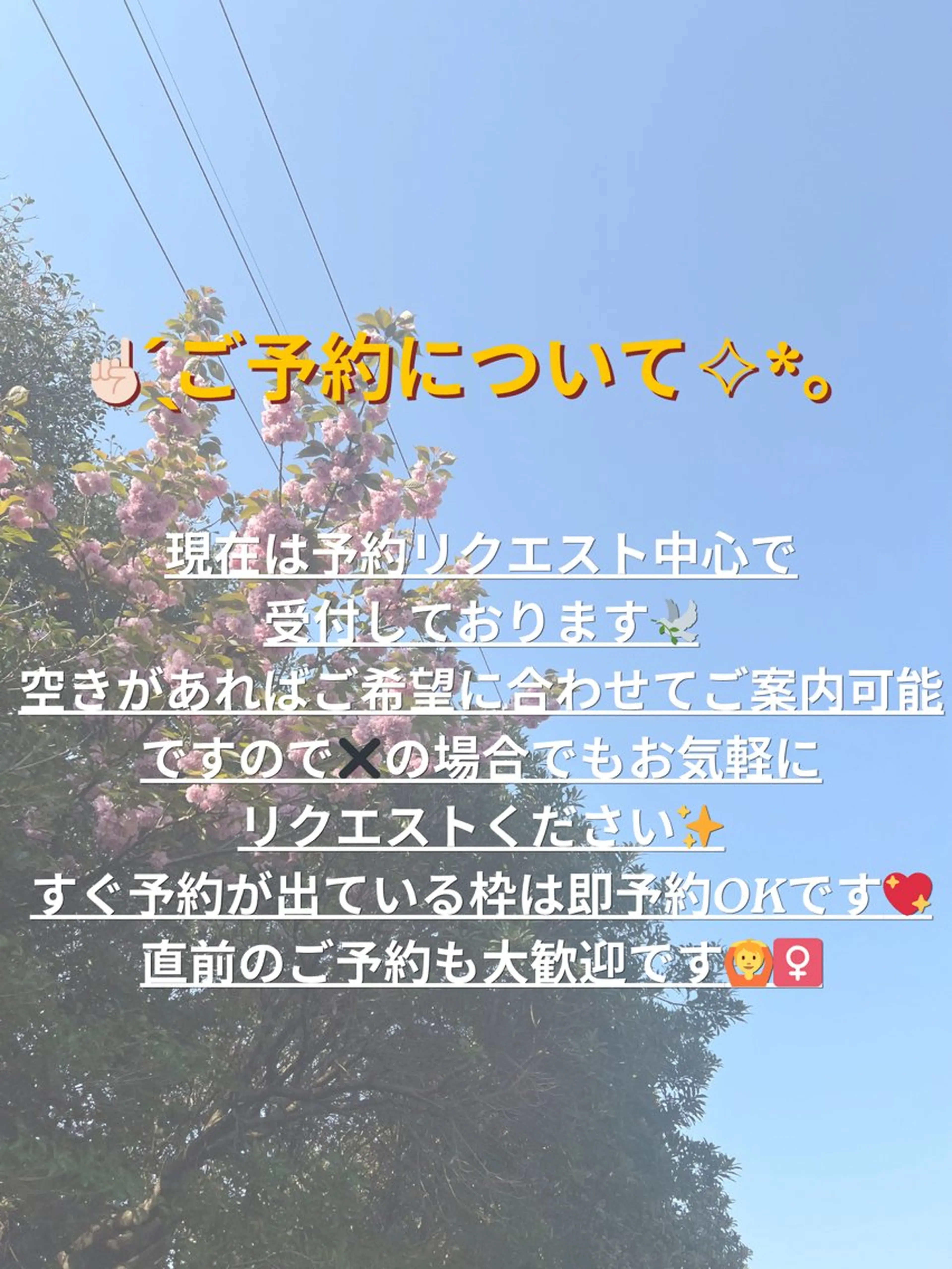 マツエク・マツパ マツパ 由寿　YUZU | まつ毛パーマのマツエク・マツパデザイン