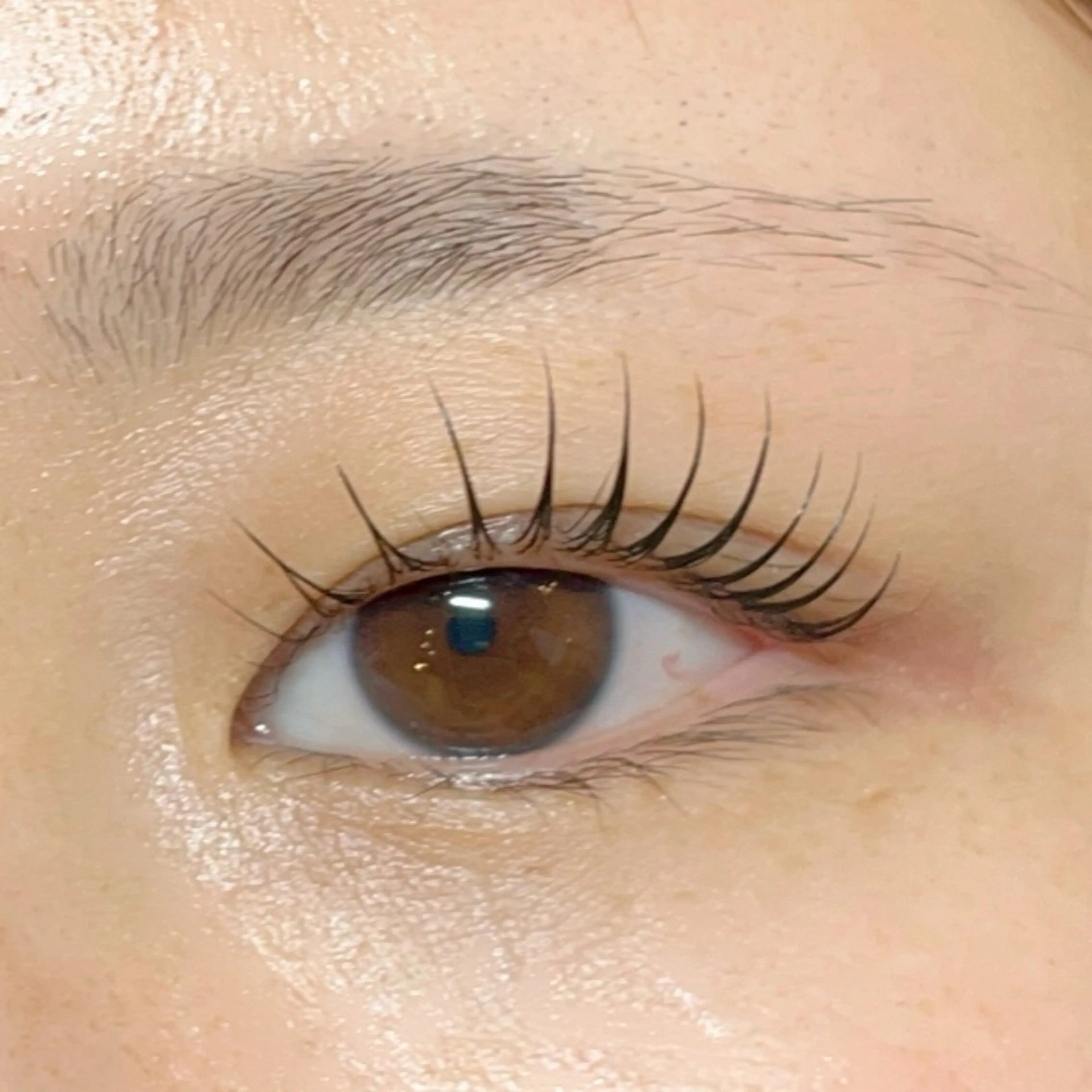 マツエク・マツパ マツパ sHeeR【シアー】 ハマナカのマツエク・マツパデザイン