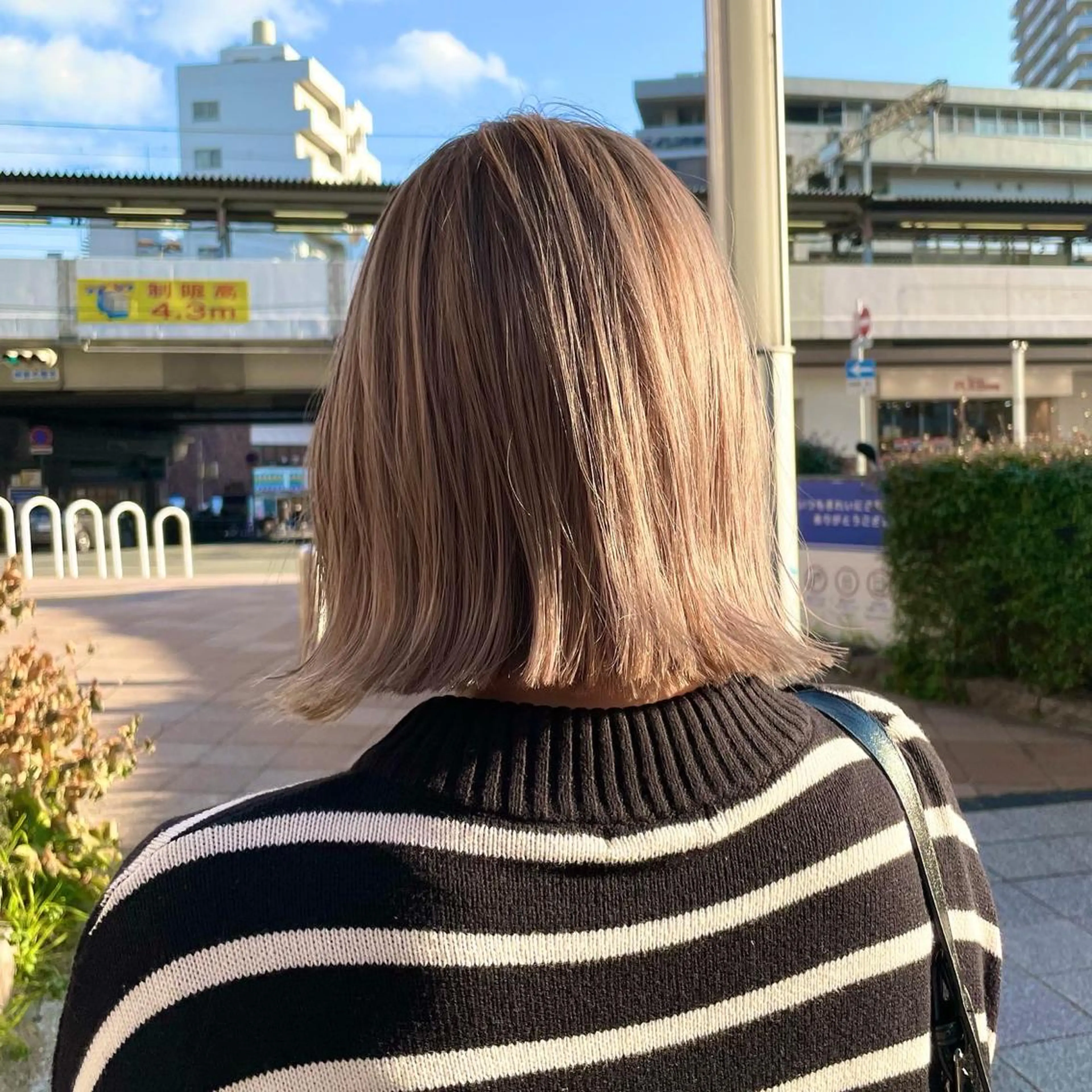 ショート カラー カラー/髪質改善 レイヤー/vagueのヘアスタイル