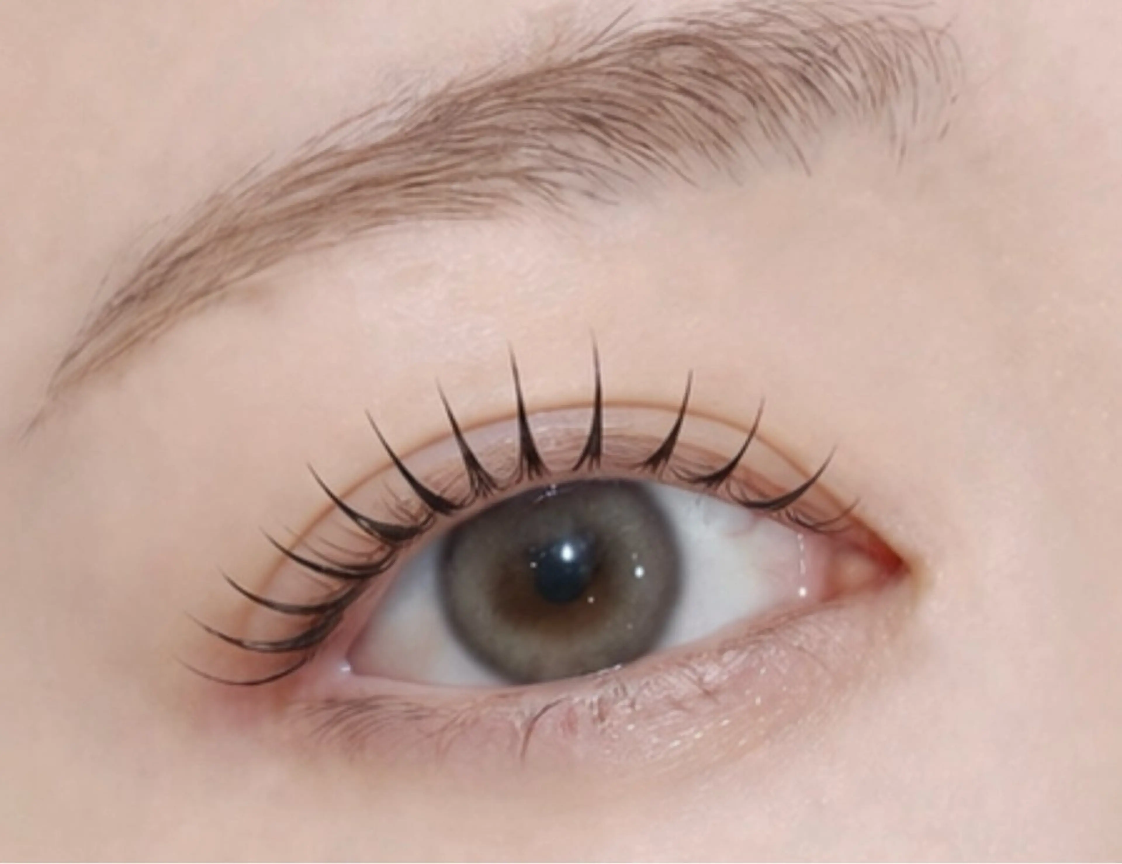 【New Open記念価格】✨🎀似合わせまつげパーマor パリジェンヌ(上)🎀✨TRコーティング付(口コミ投稿必須)の写真