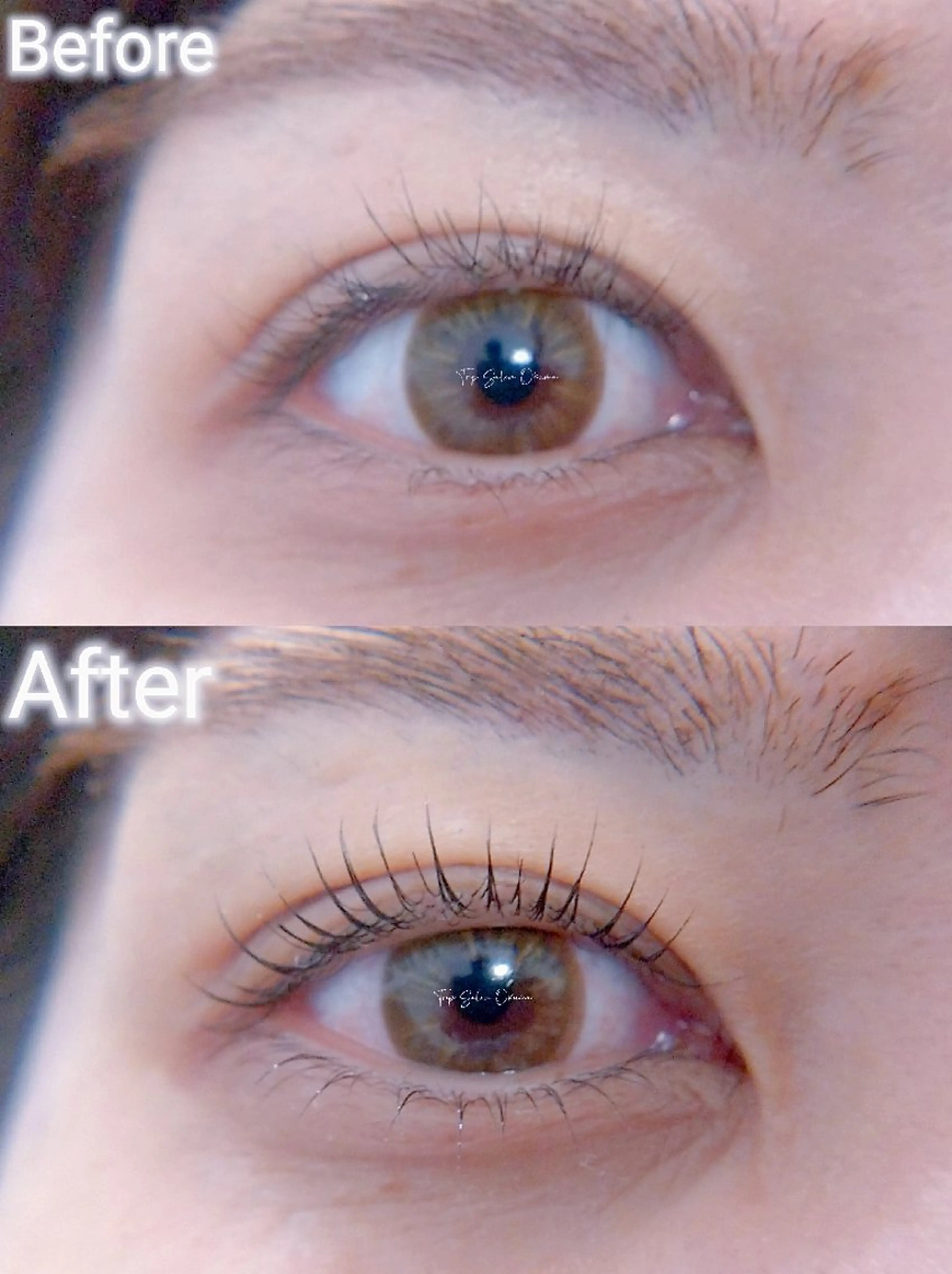 マツエク・マツパ マツパ ❤LEDまつぱ❤那覇 🅿️有、泉崎のマツエク・マツパデザイン