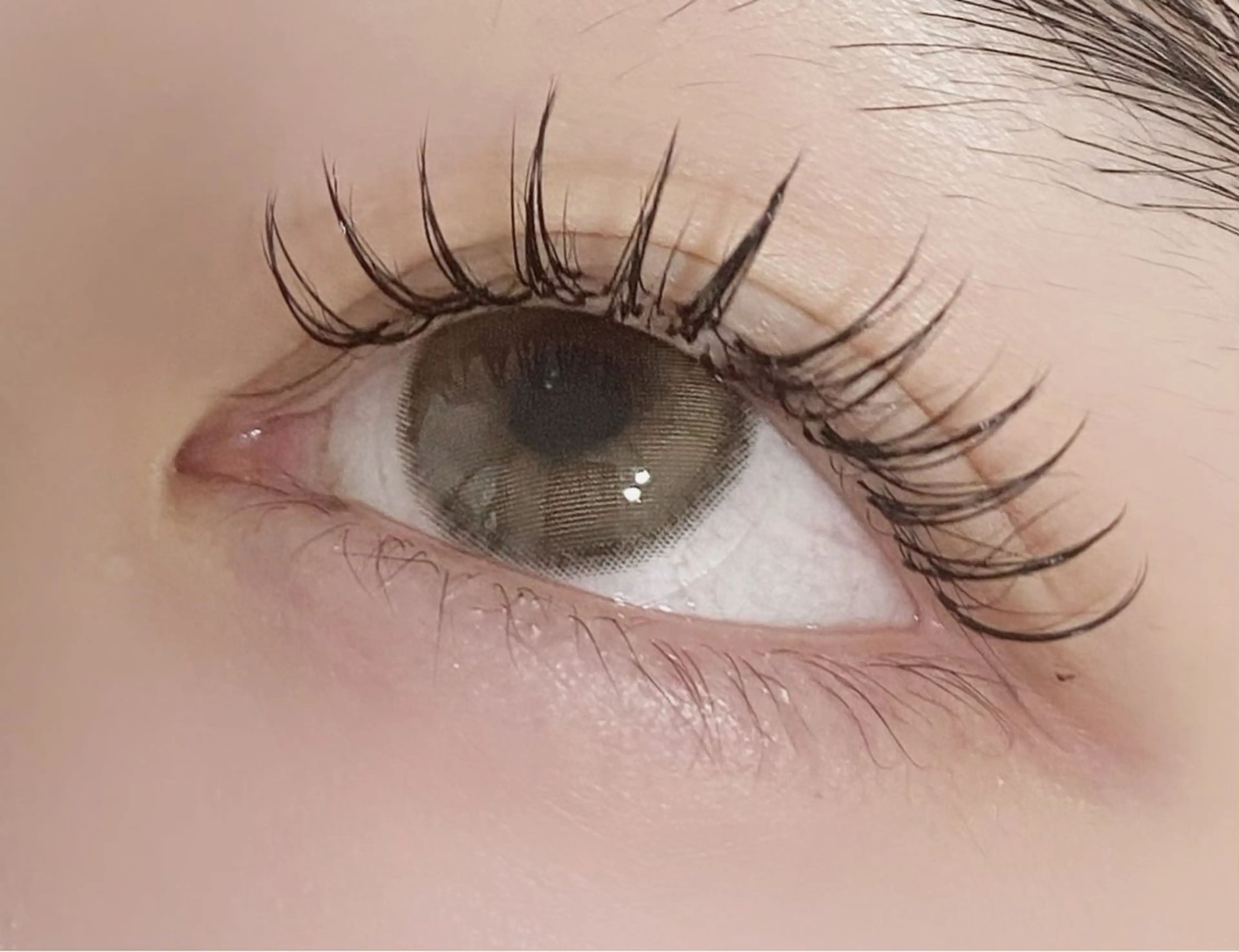 マツエク・マツパ 束感まつ毛 Cカール フラットラッシュ ナチュラル マツエク 💎マツエク/眉毛 パリジェンヌ渋谷💎の眉毛・アイブロウイメージ