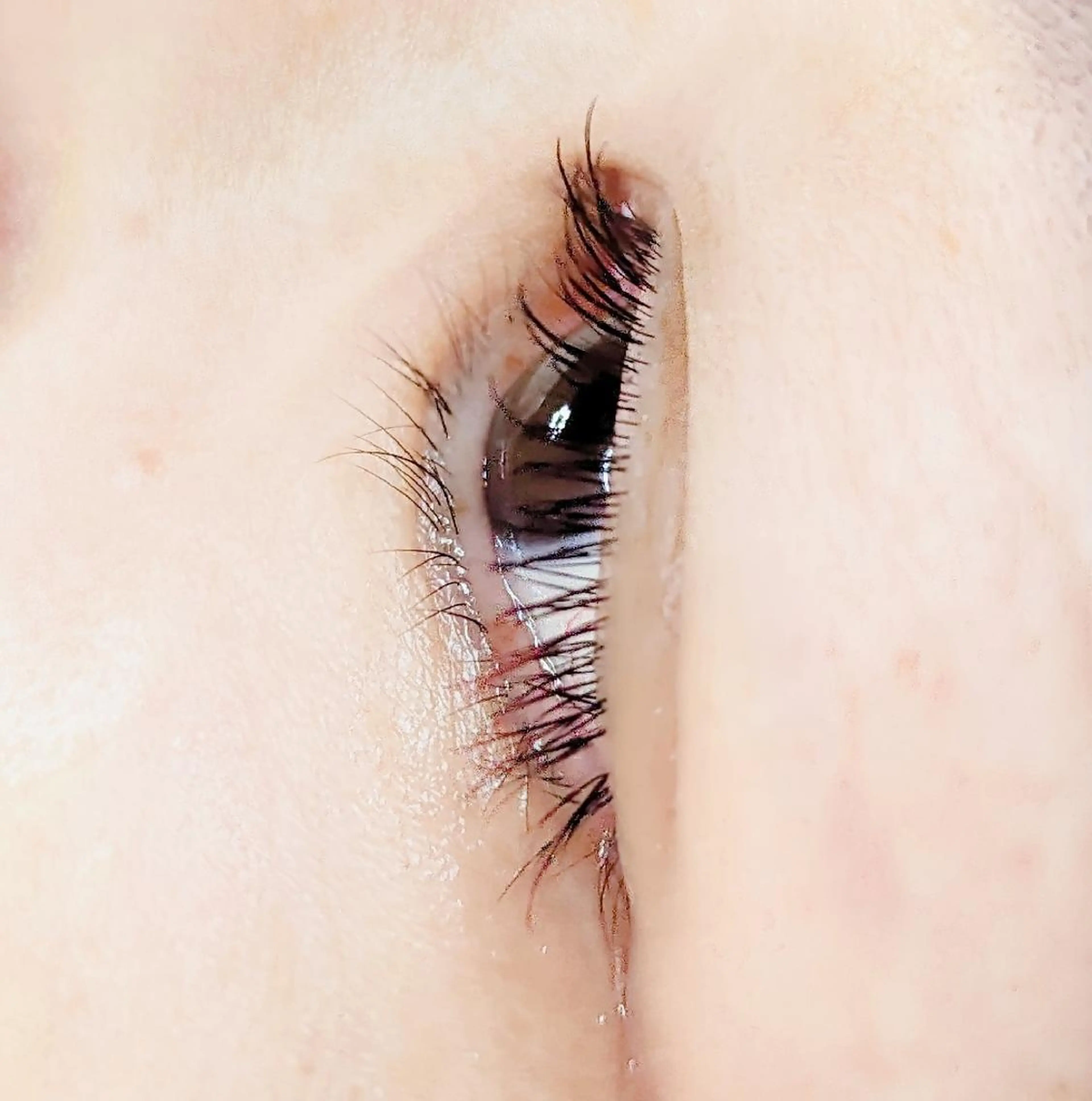 マツエク・マツパ マツエク ikumi  watanabeのエステ・リラクイメージ