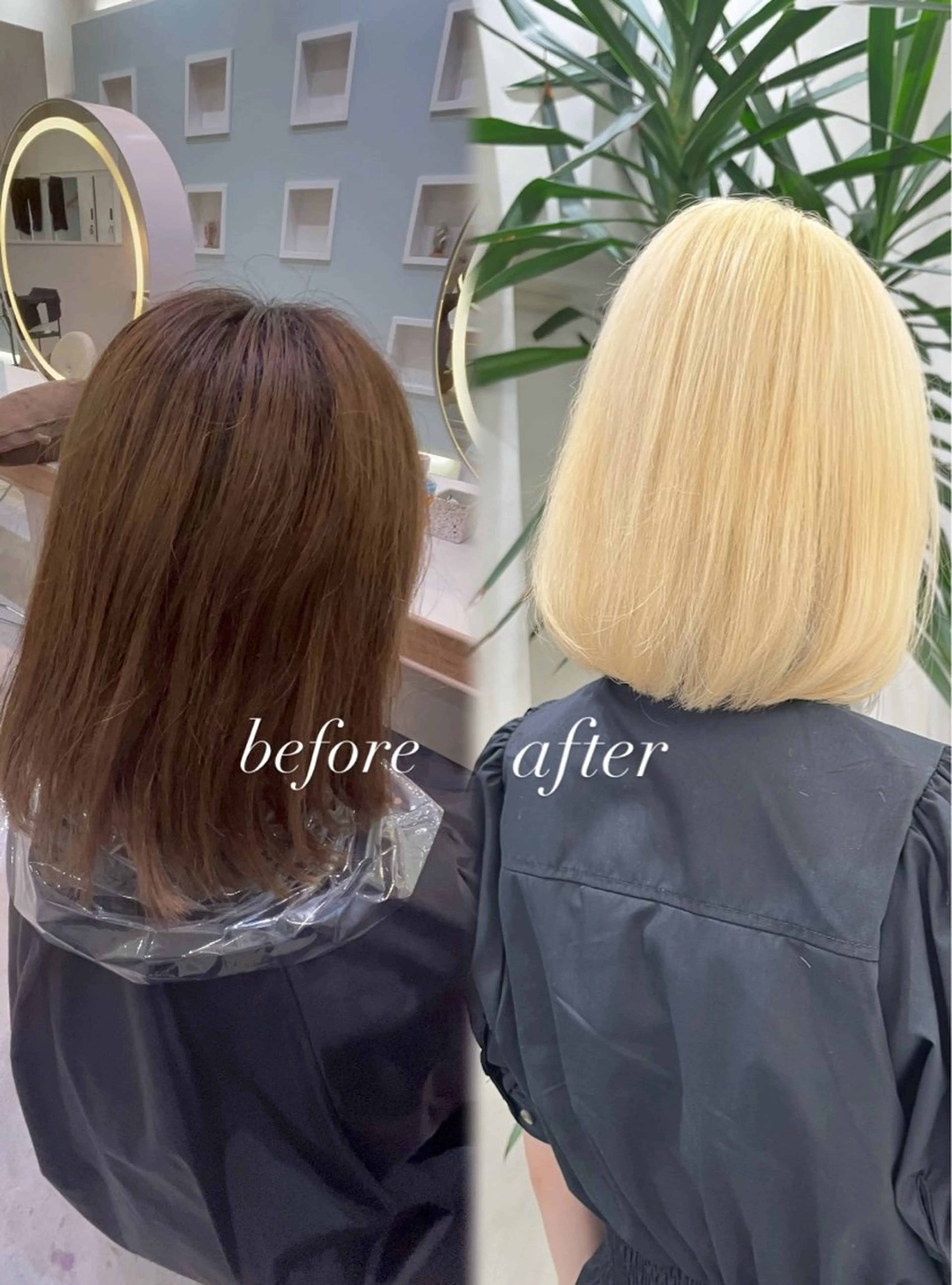 ミディアム ヘアカラー トリートメント ハイトーン/韓国ヘア senaのヘアスタイル