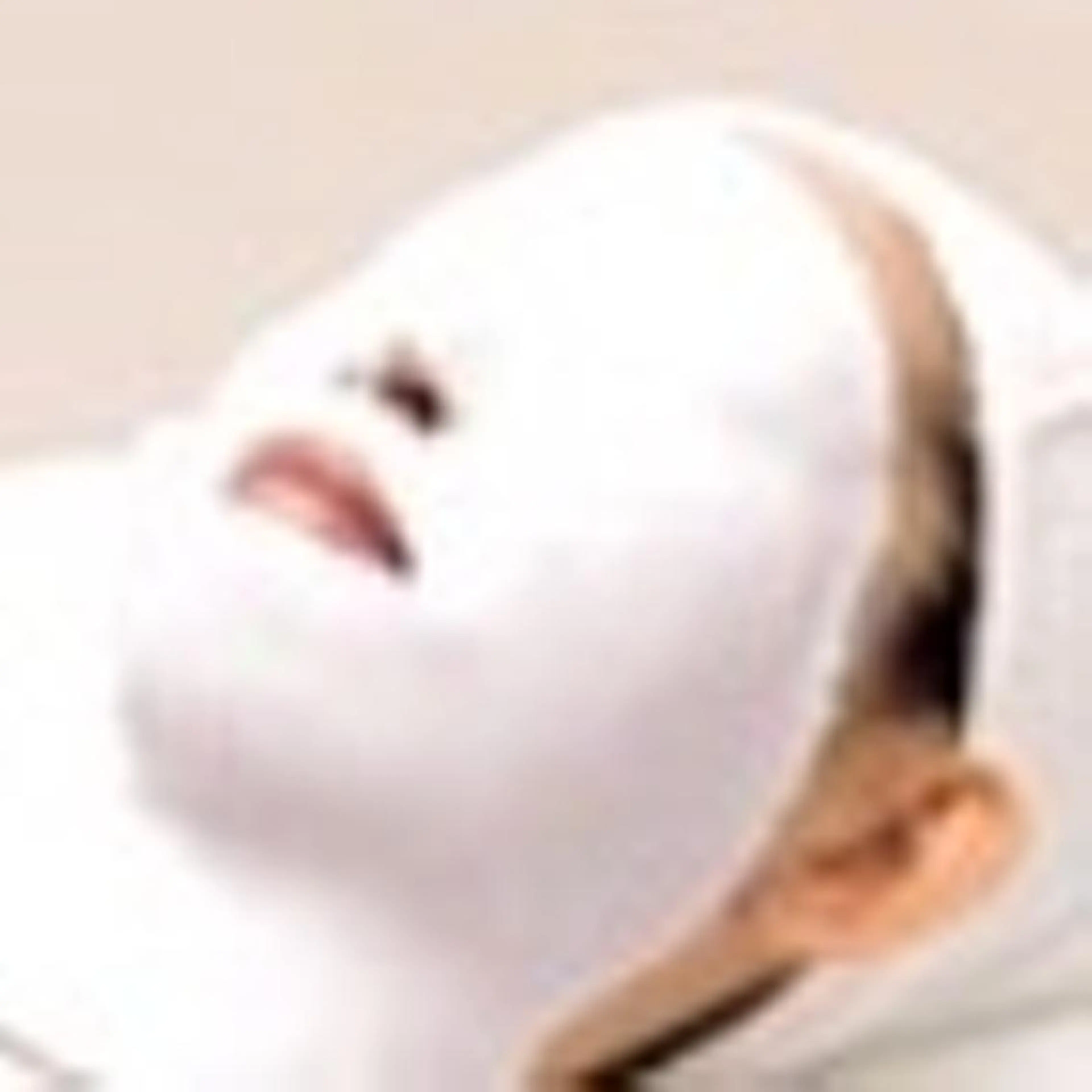 ブライトニングコースの写真