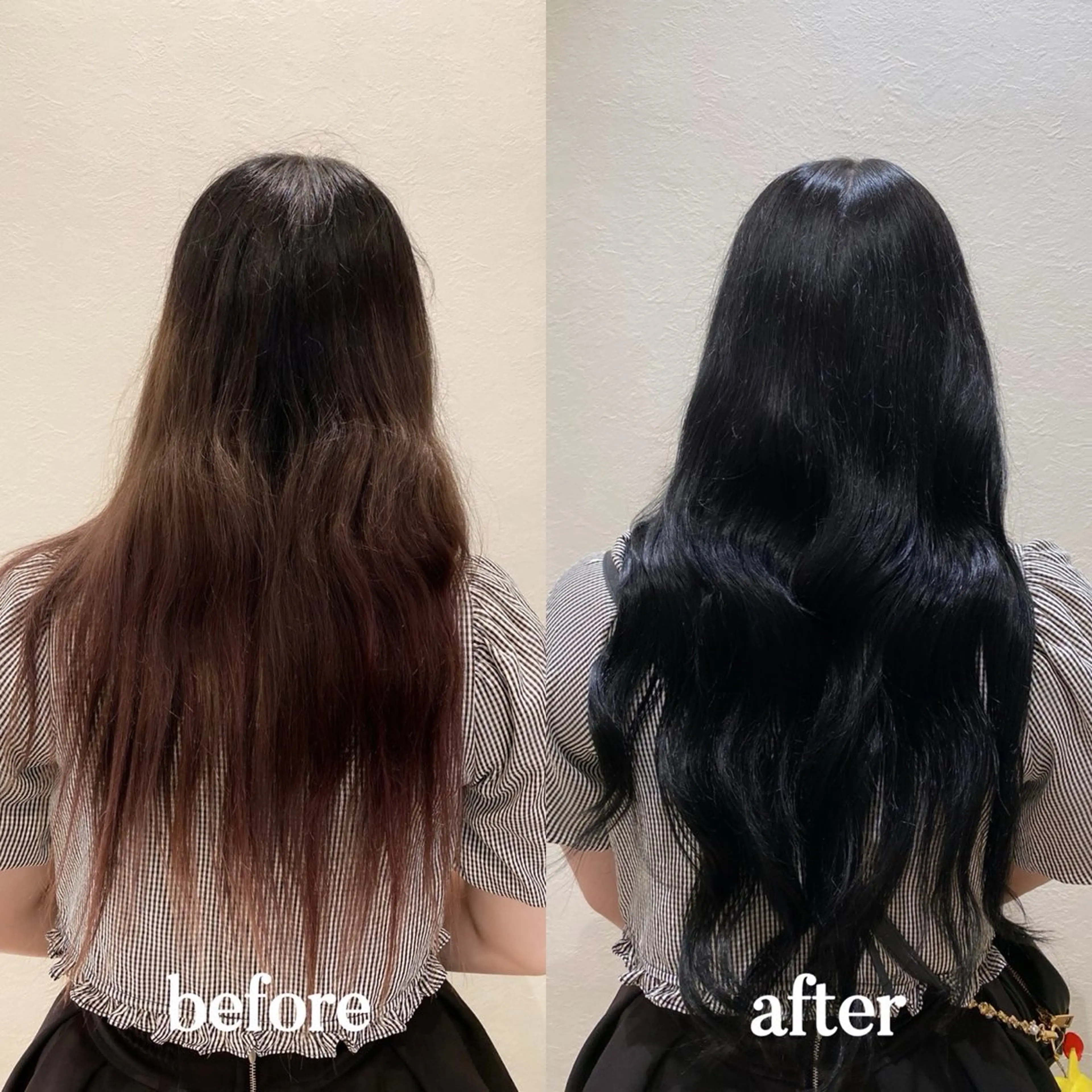 â€ïž 4æ éå® â€ïž ã«ã©ãŒ + ãšã¯ã¹ã ã äººæ¯ 100% ã·ãŒã«ãšã¯ã¹ã ïŒ 45cm ïŒ Ã 60æ¬ ãã®åç