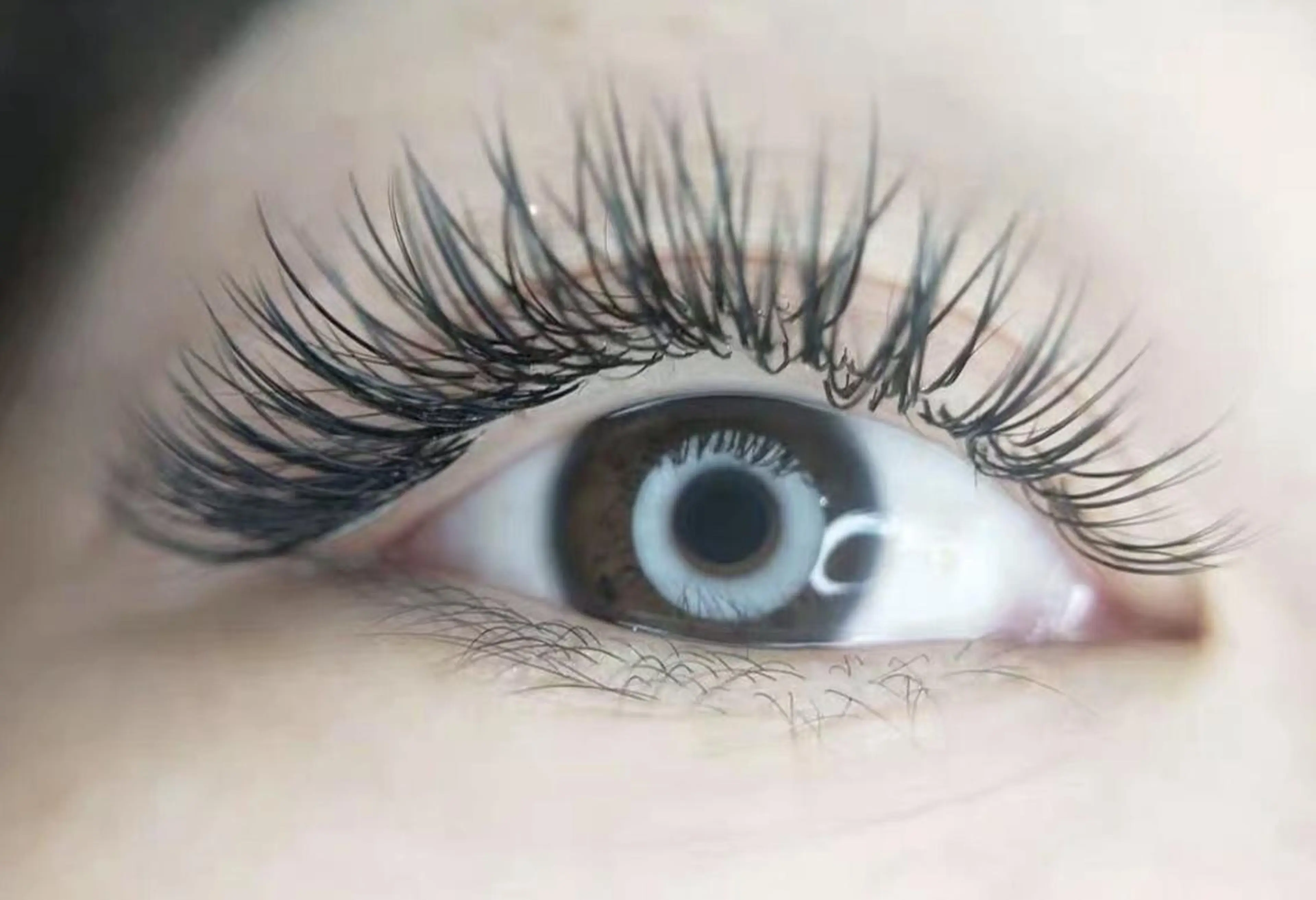 マツエク・マツパ Cute B e au t yのマツエク・マツパデザイン