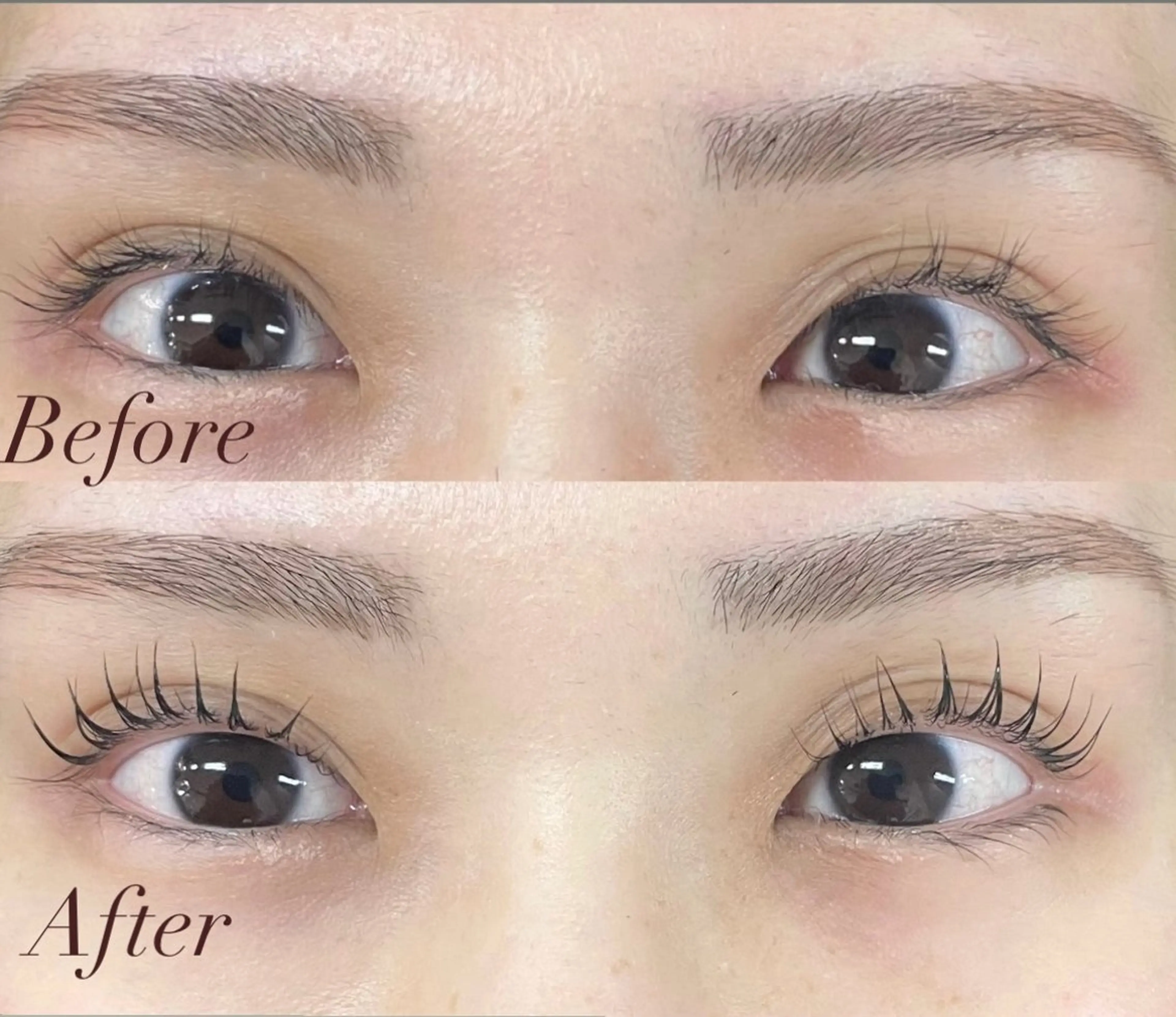 マツエク・マツパ ꜱꜱɪɴꜱᴛᴜᴅɪᴏ 𝚢𝚞𝚛𝚒𝚊の眉毛・アイブロウイメージ