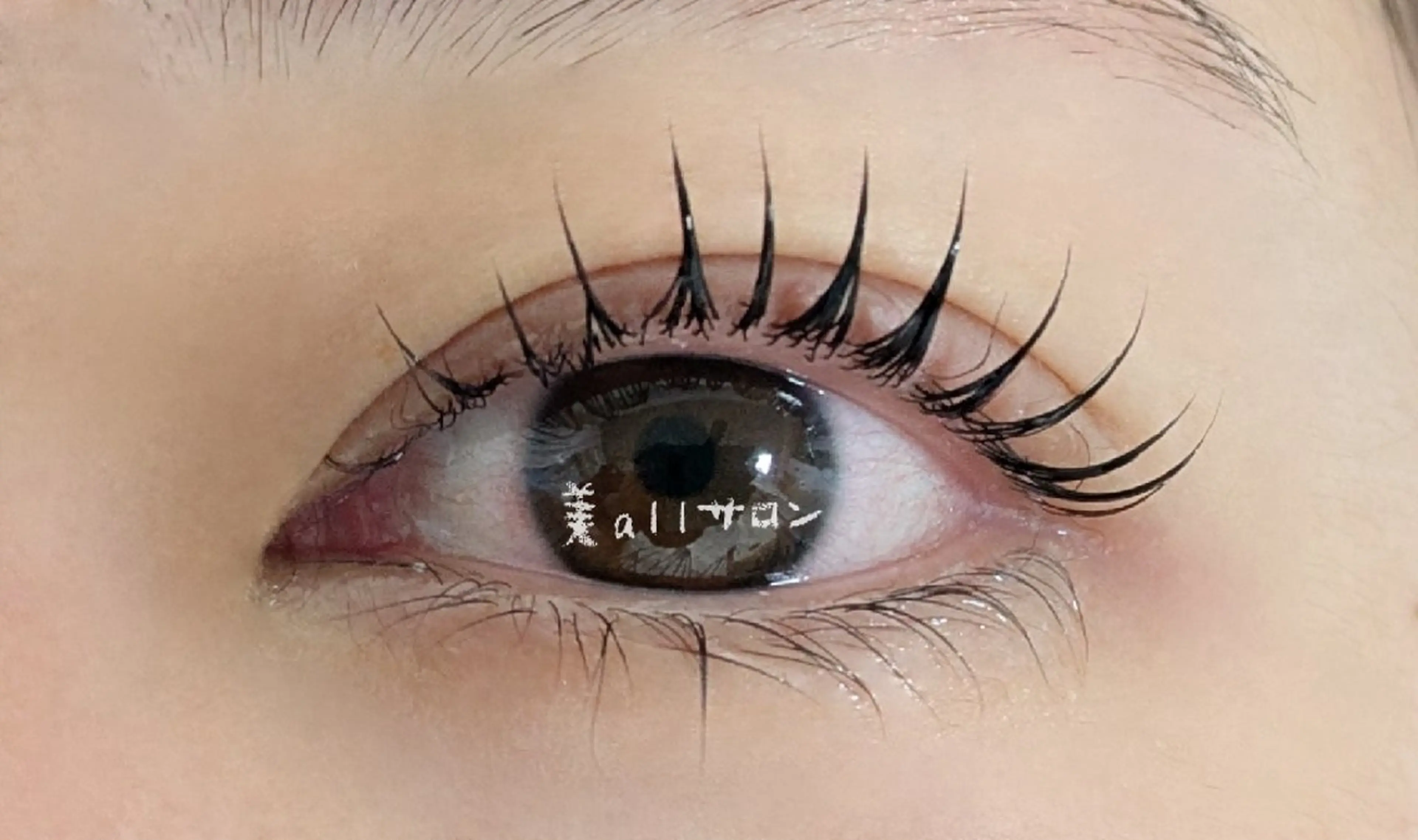 🌹パリジェンヌor🌹まつげパーマ【上】アイパック付きの写真