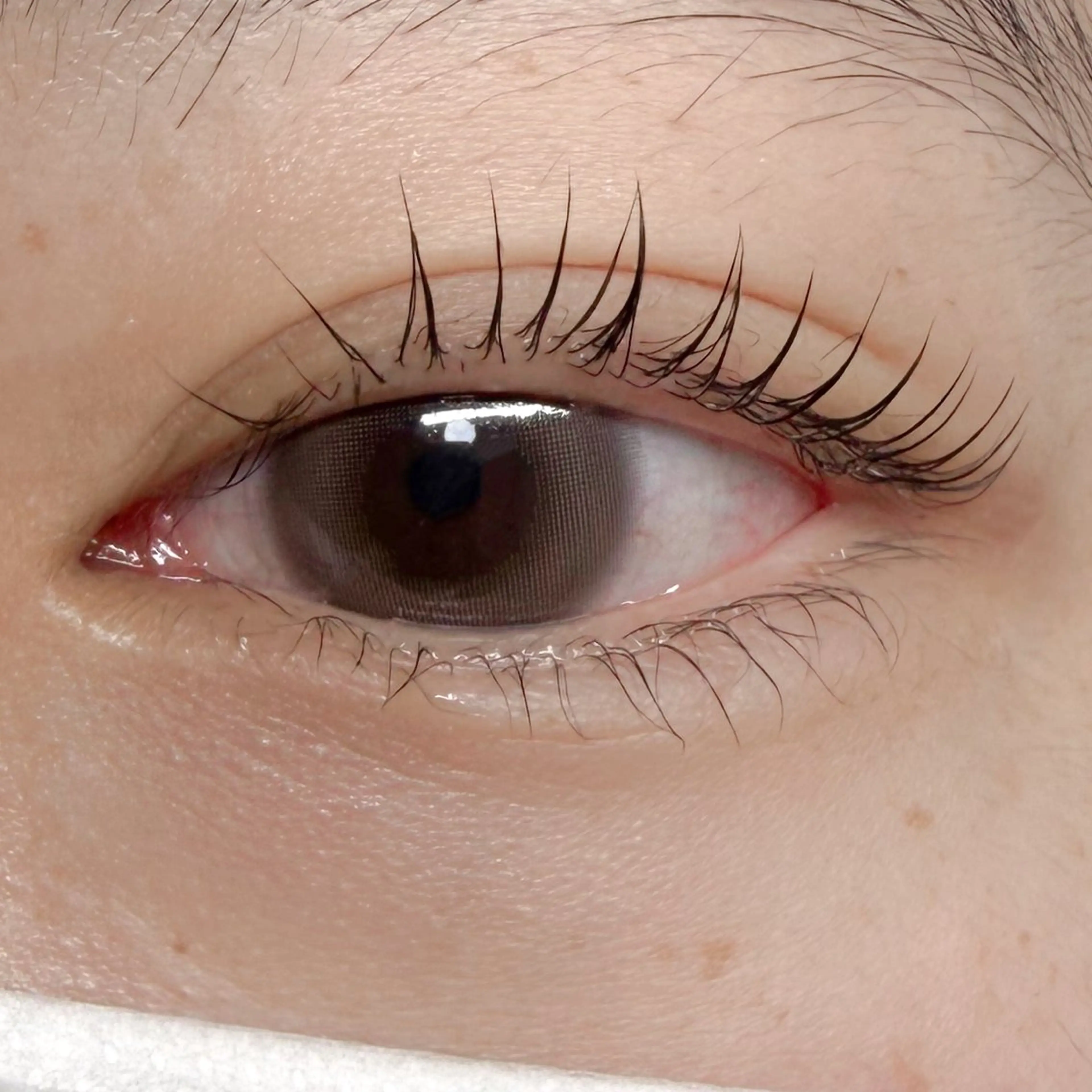 マツエク・マツパ マツパ 杉野 まみのマツエク・マツパデザイン