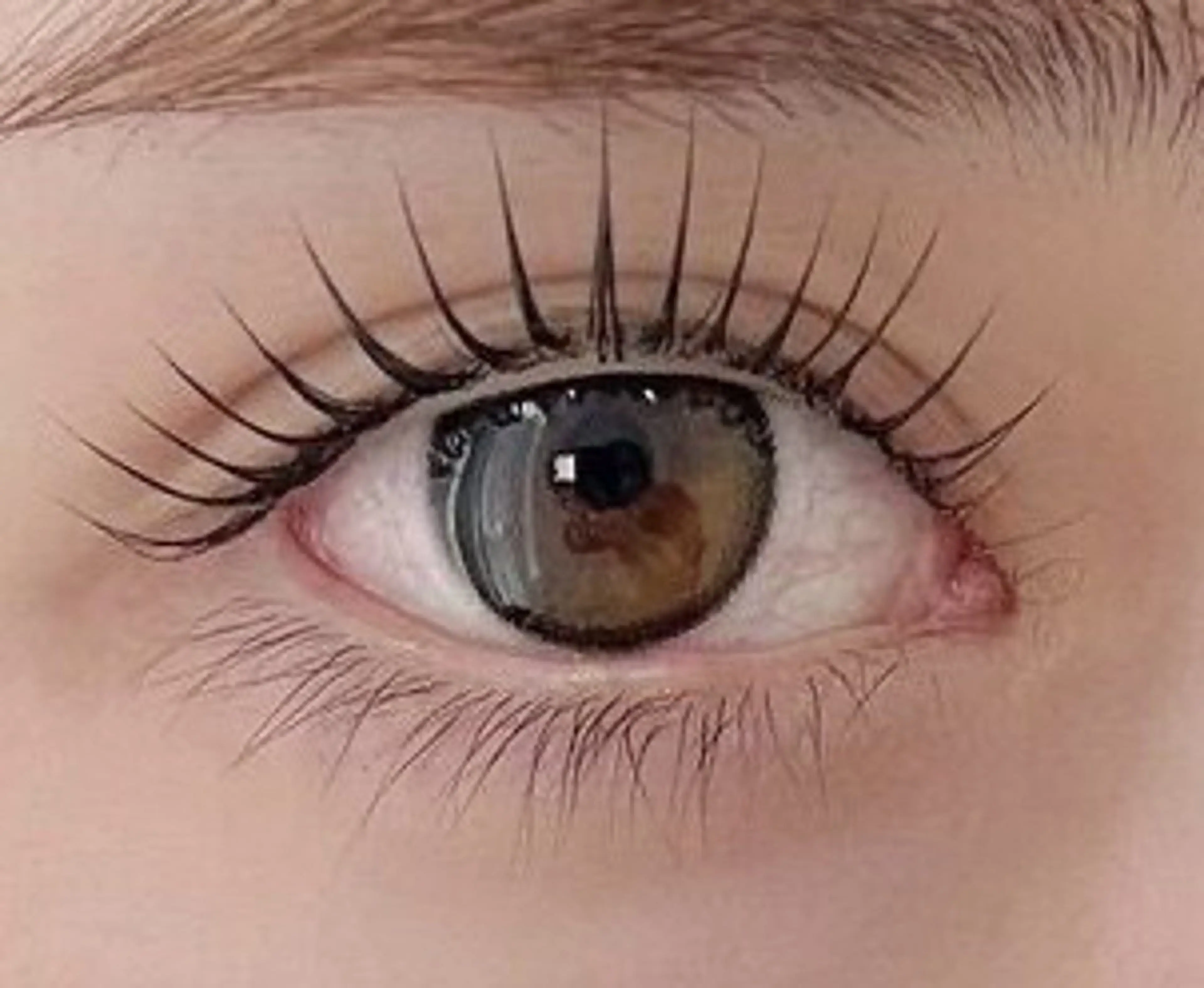 【パリジェンヌラッシュリフト】韓国アイドル風束感パリジェンヌラッシュリフト✨の写真