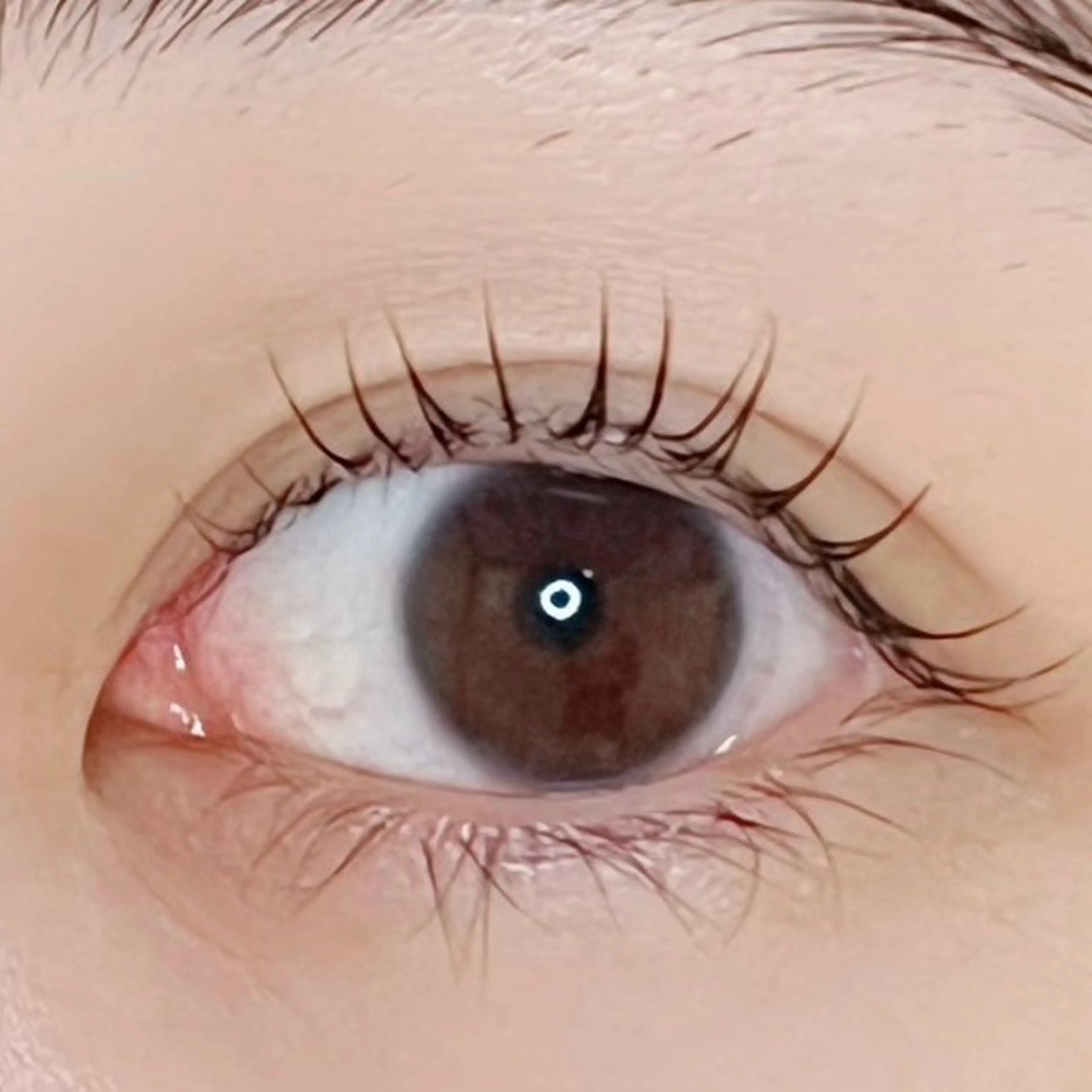 短いまつ毛でお悩みの方に✨【リフトアップUカール】コンプレックスが魅力に変わります💕嬉しいトリートメントケア付🌟の写真