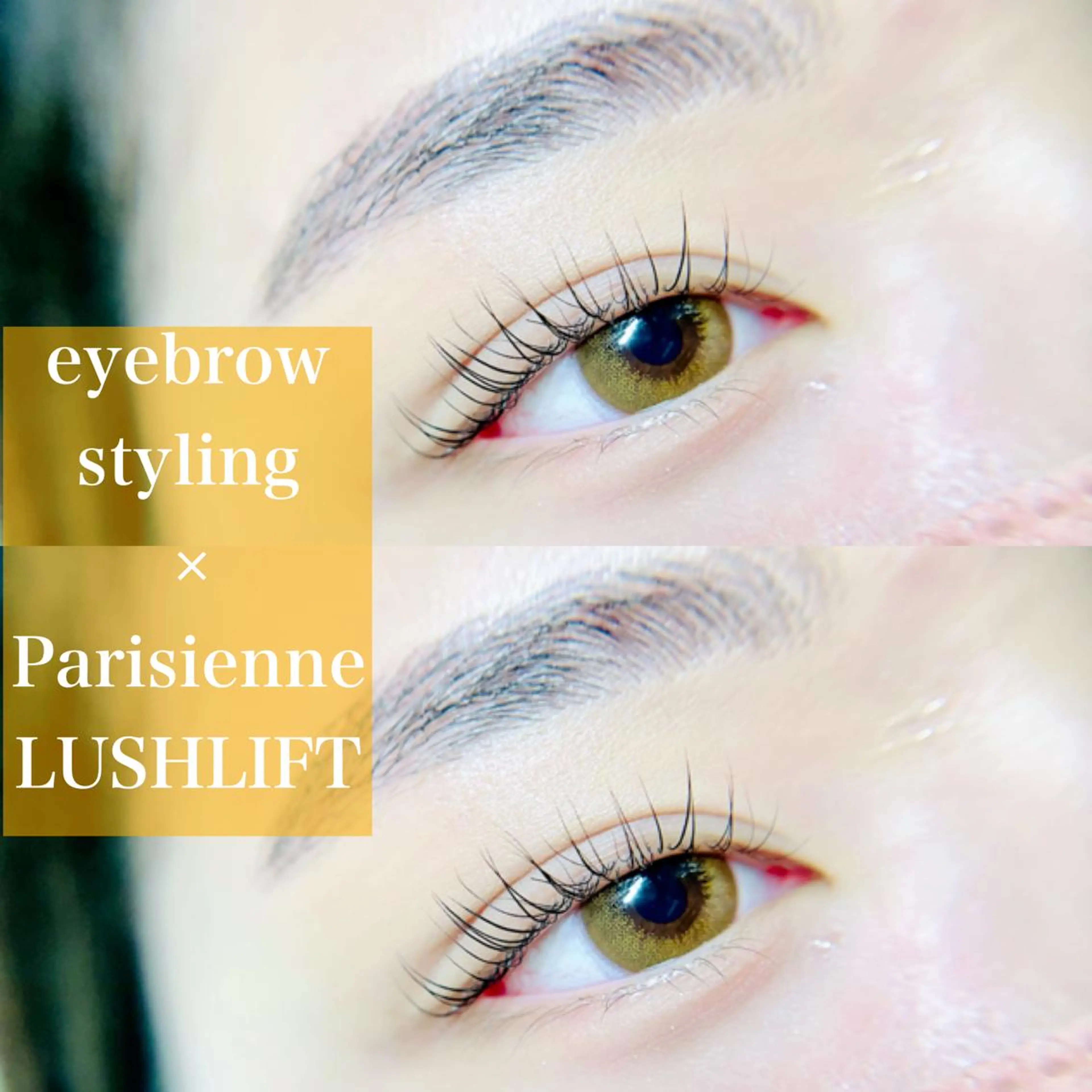 🦋Dio...川越 MINAKI🦋のマツエク・マツパデザイン