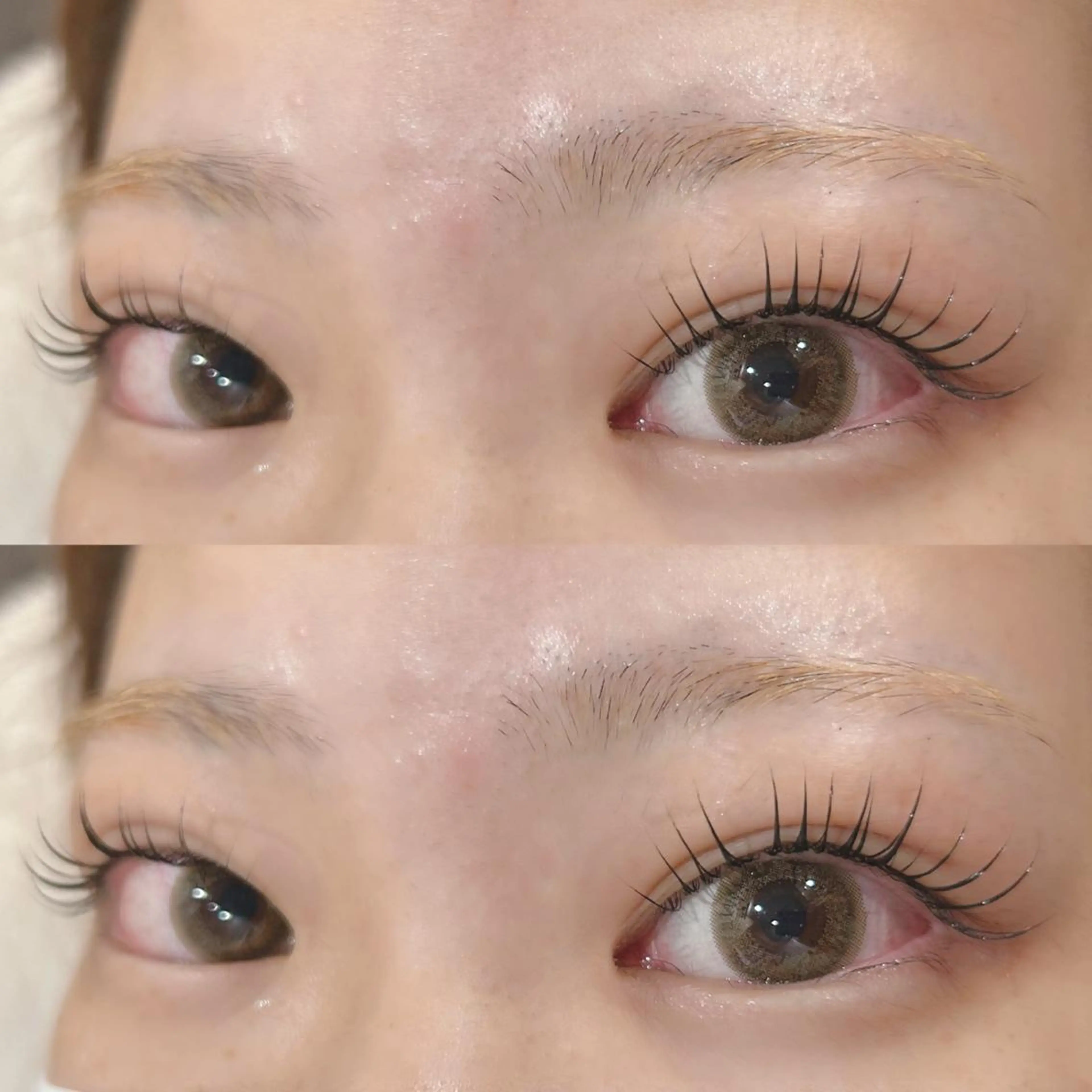 マツエク・マツパ マツパ GALN 🎀 yumi パリエクのマツエク・マツパデザイン