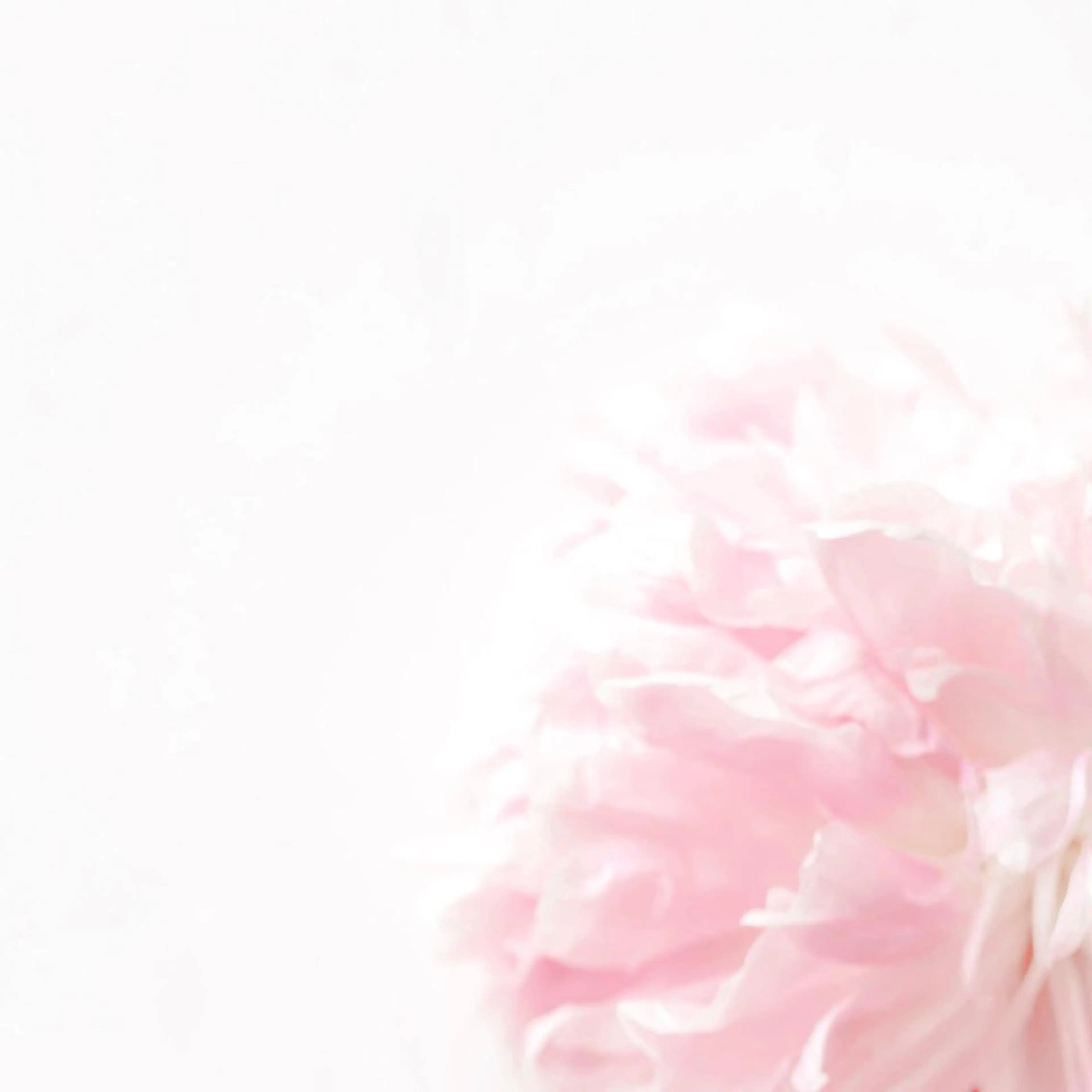 TIÁM eyelashのマツエク・マツパデザイン