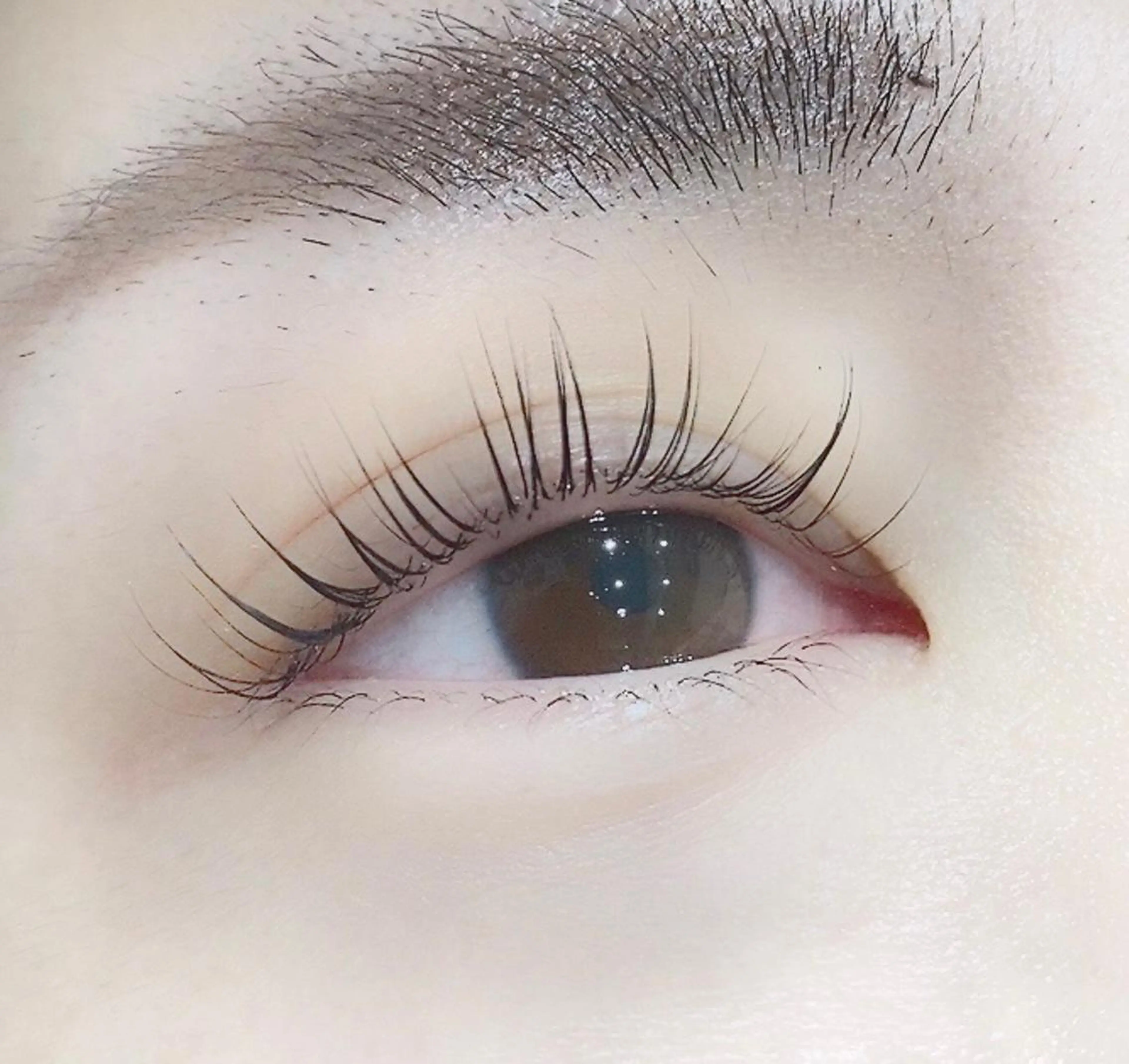 マツエク・マツパ RIGOLETTO 🤍吉成愛華のマツエク・マツパデザイン