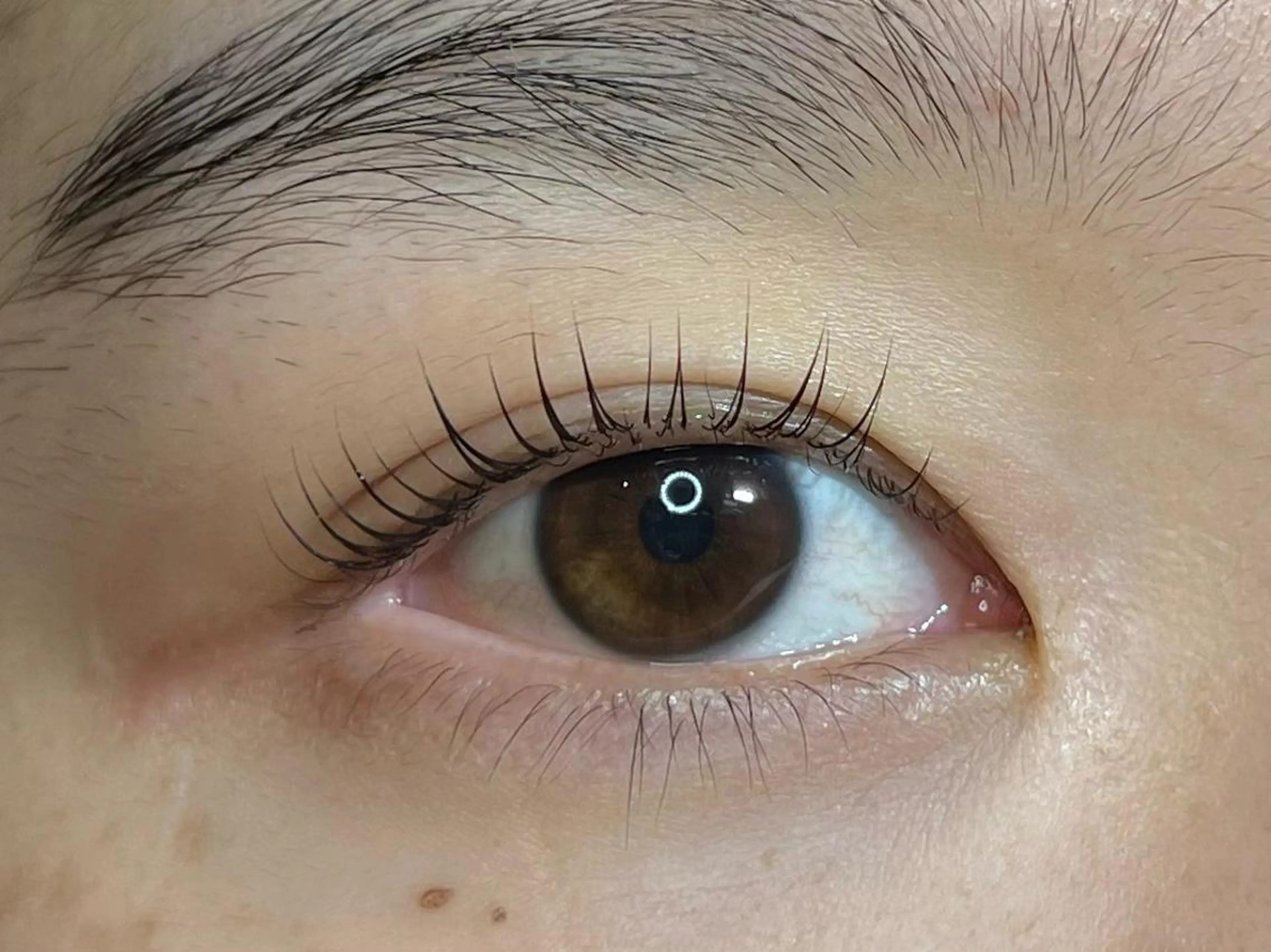 マツエク・マツパ 《eyenail M 》tsubakiの眉毛・アイブロウイメージ