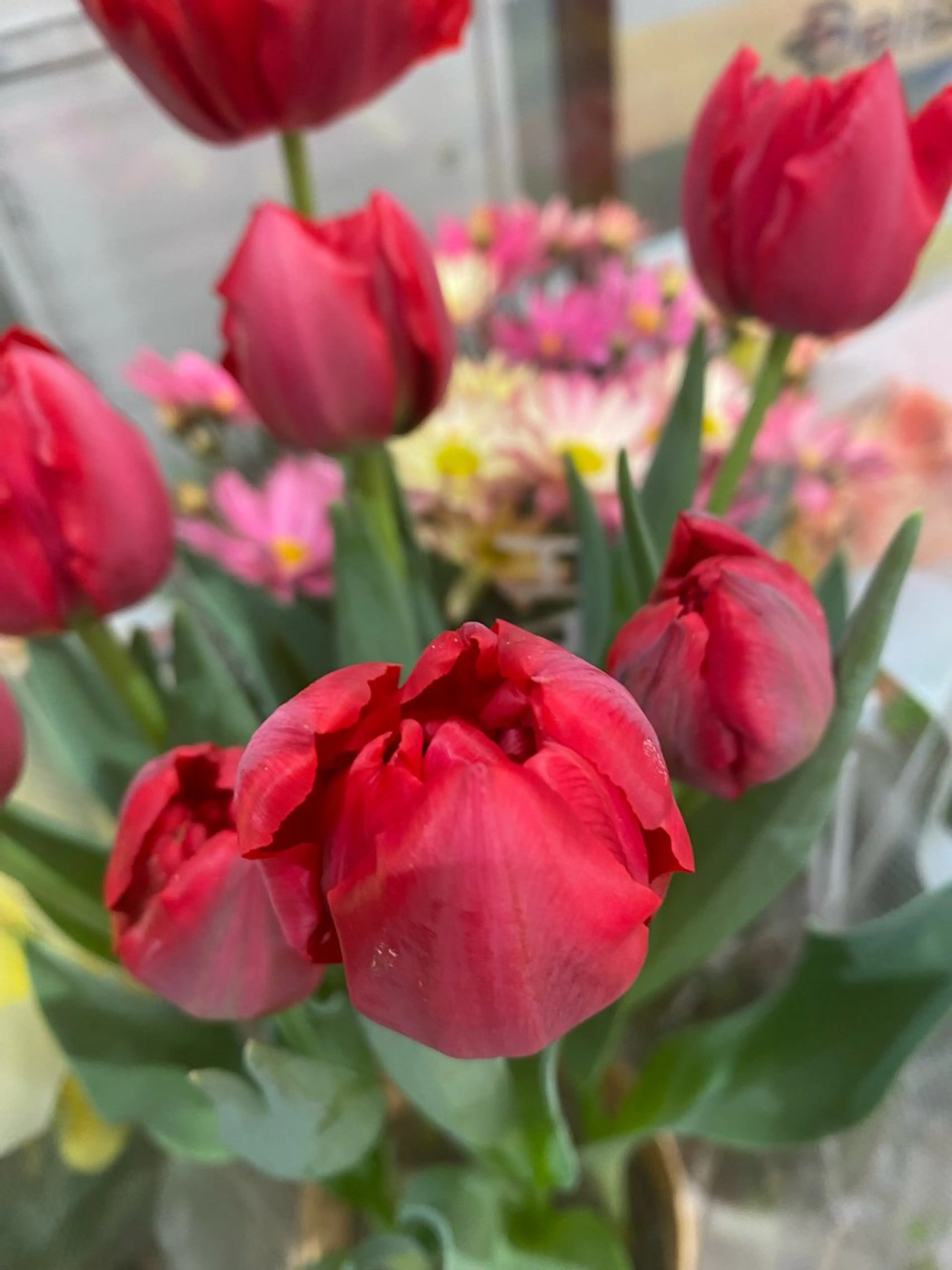 ネイルサロン& スクールGONAのネイルデザイン