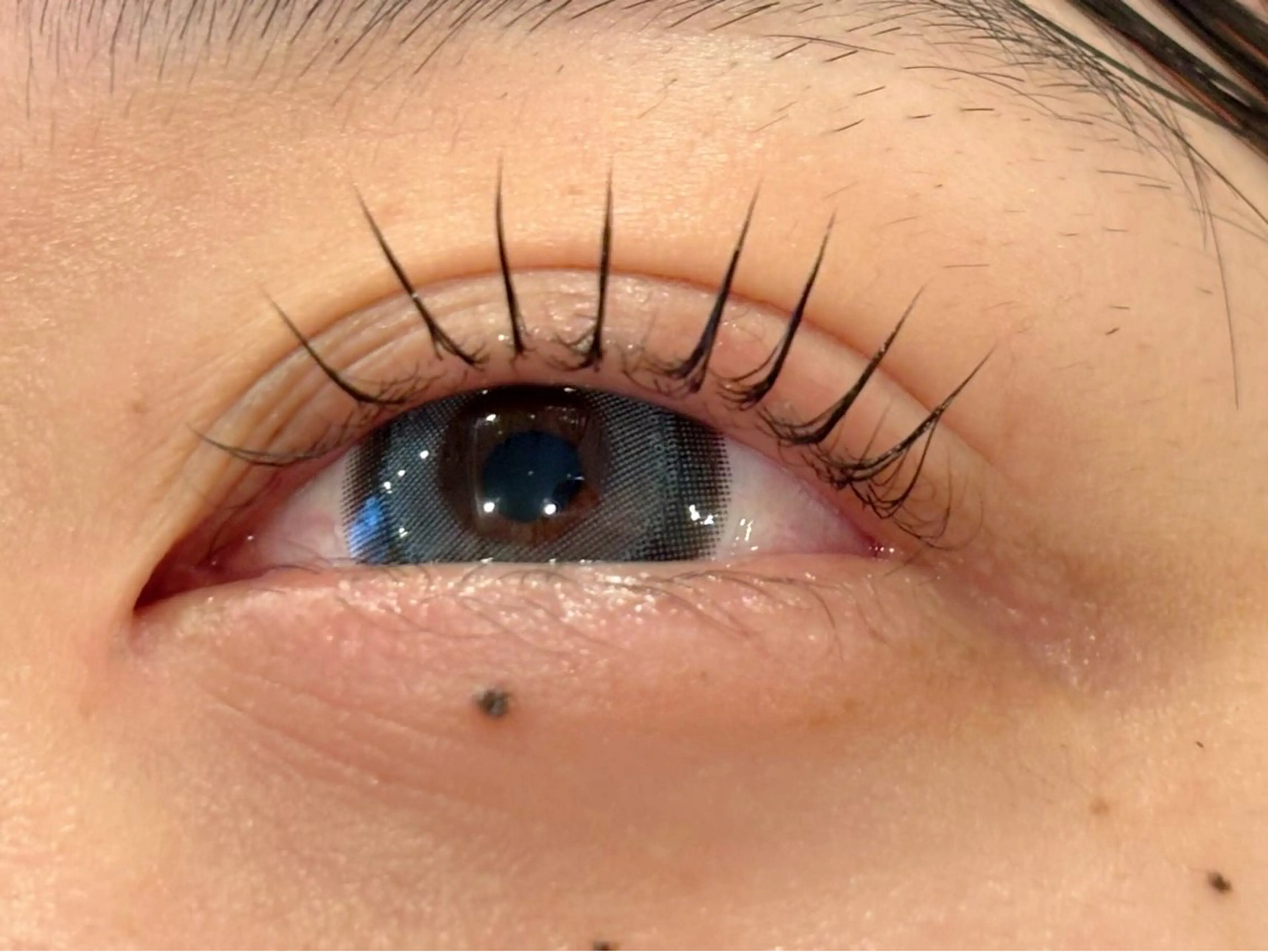 マツエク・マツパ マツパ OAK（オーク） 小倉店のマツエク・マツパデザイン