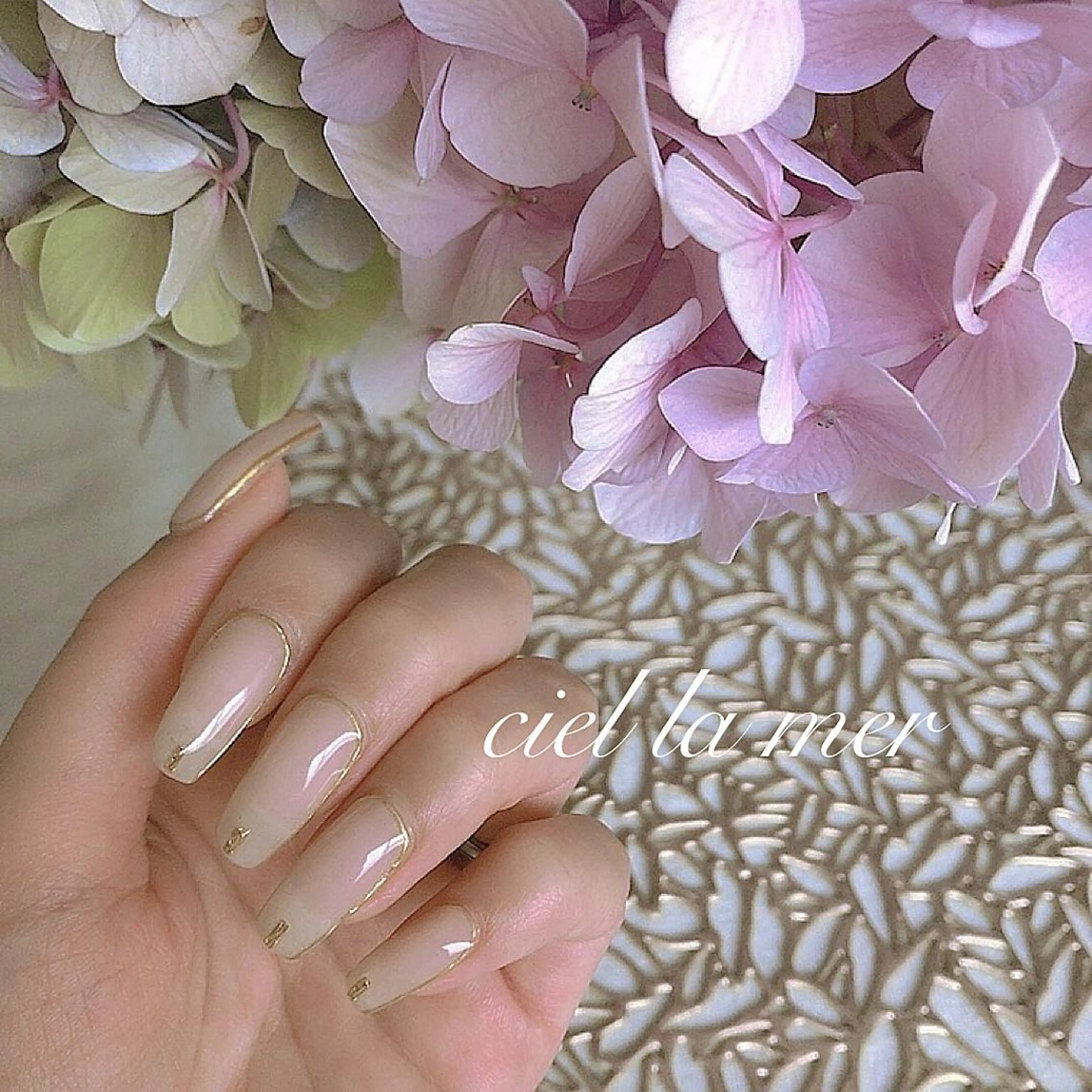 オフのみの写真