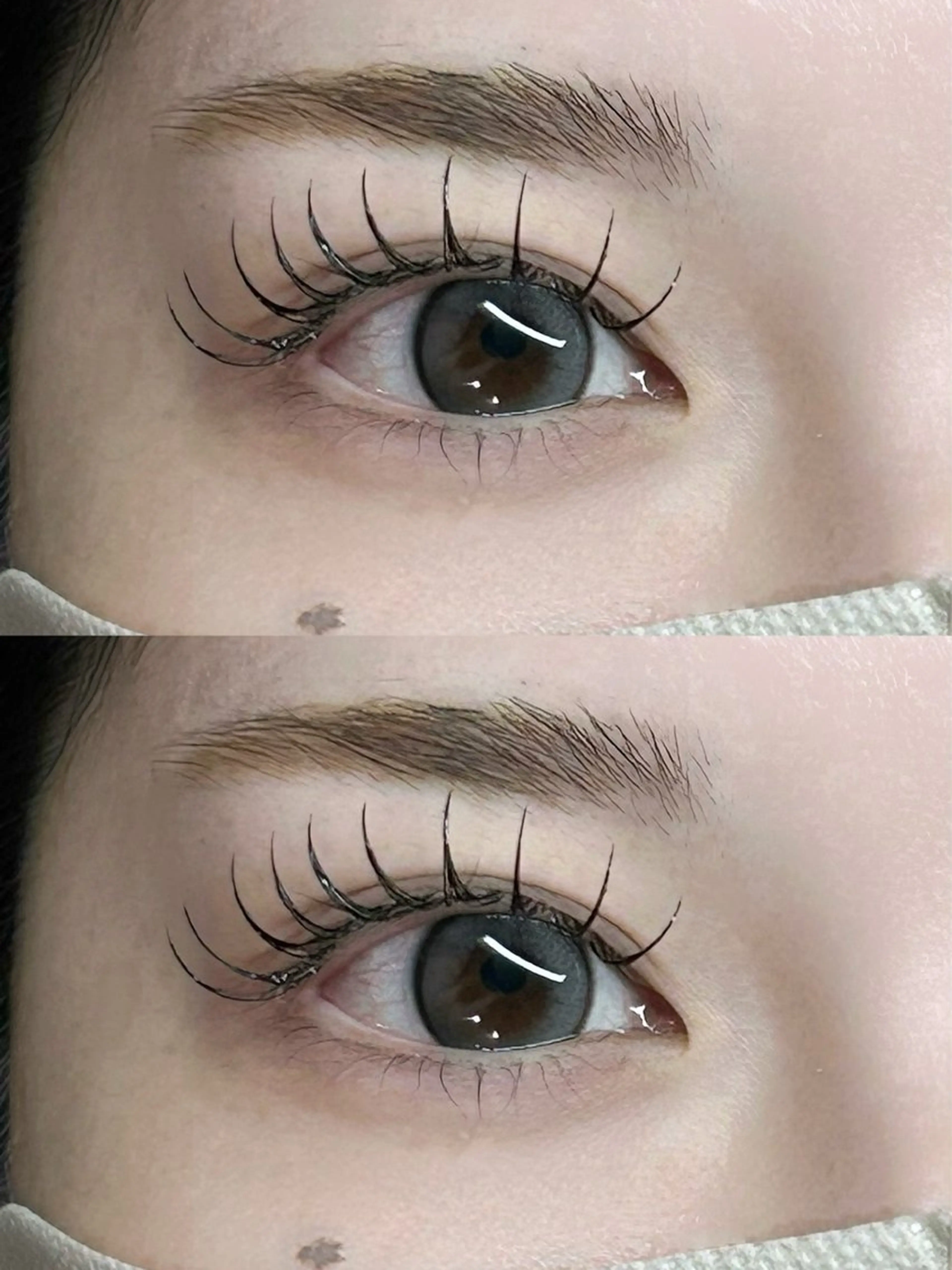 【フラットラッシュ】🩶120本 ¥7,000🎟️ྀིの写真