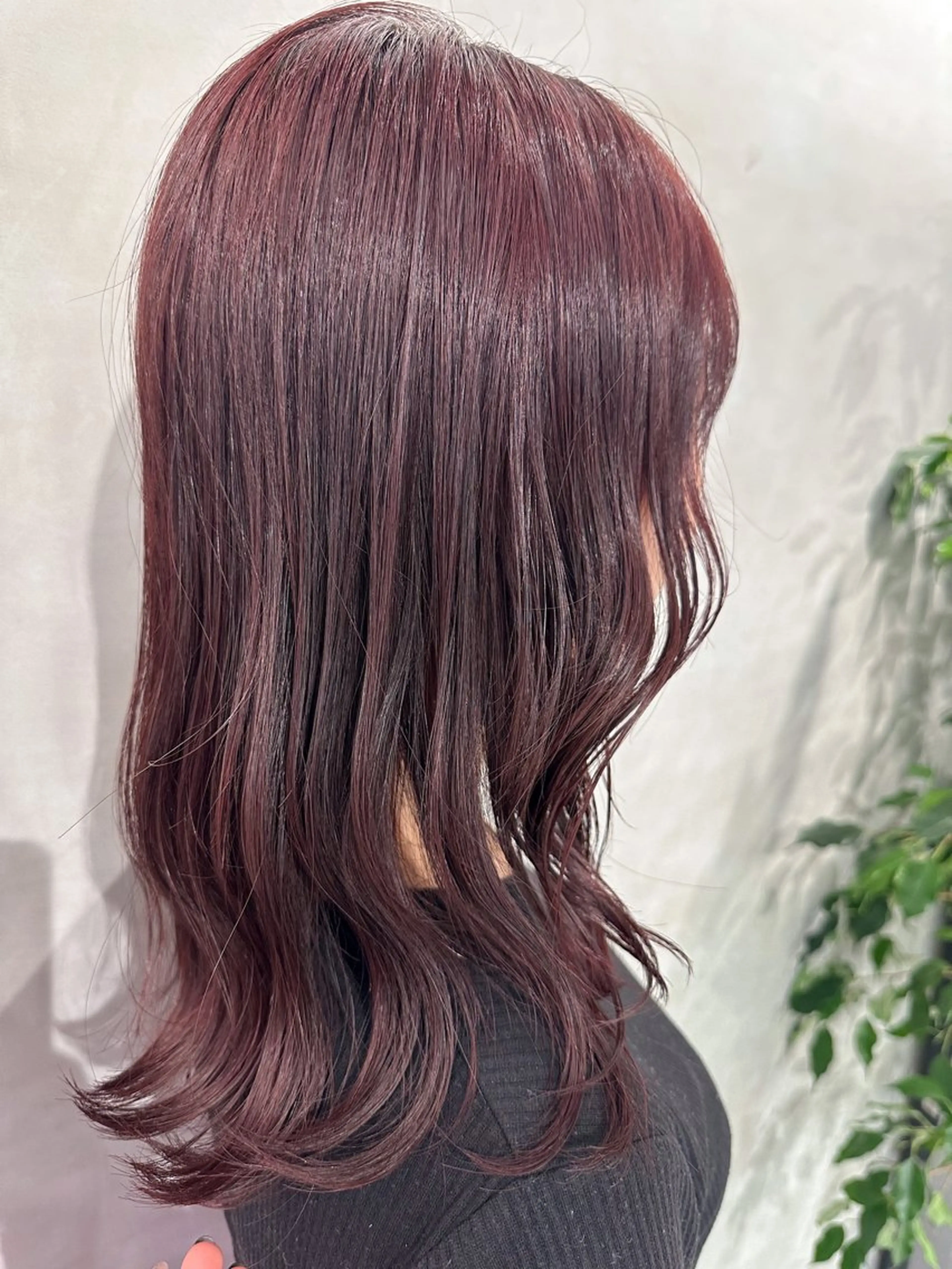 セミロング カラー 銀座レイヤーカット ×シースルー前髪のヘアスタイル