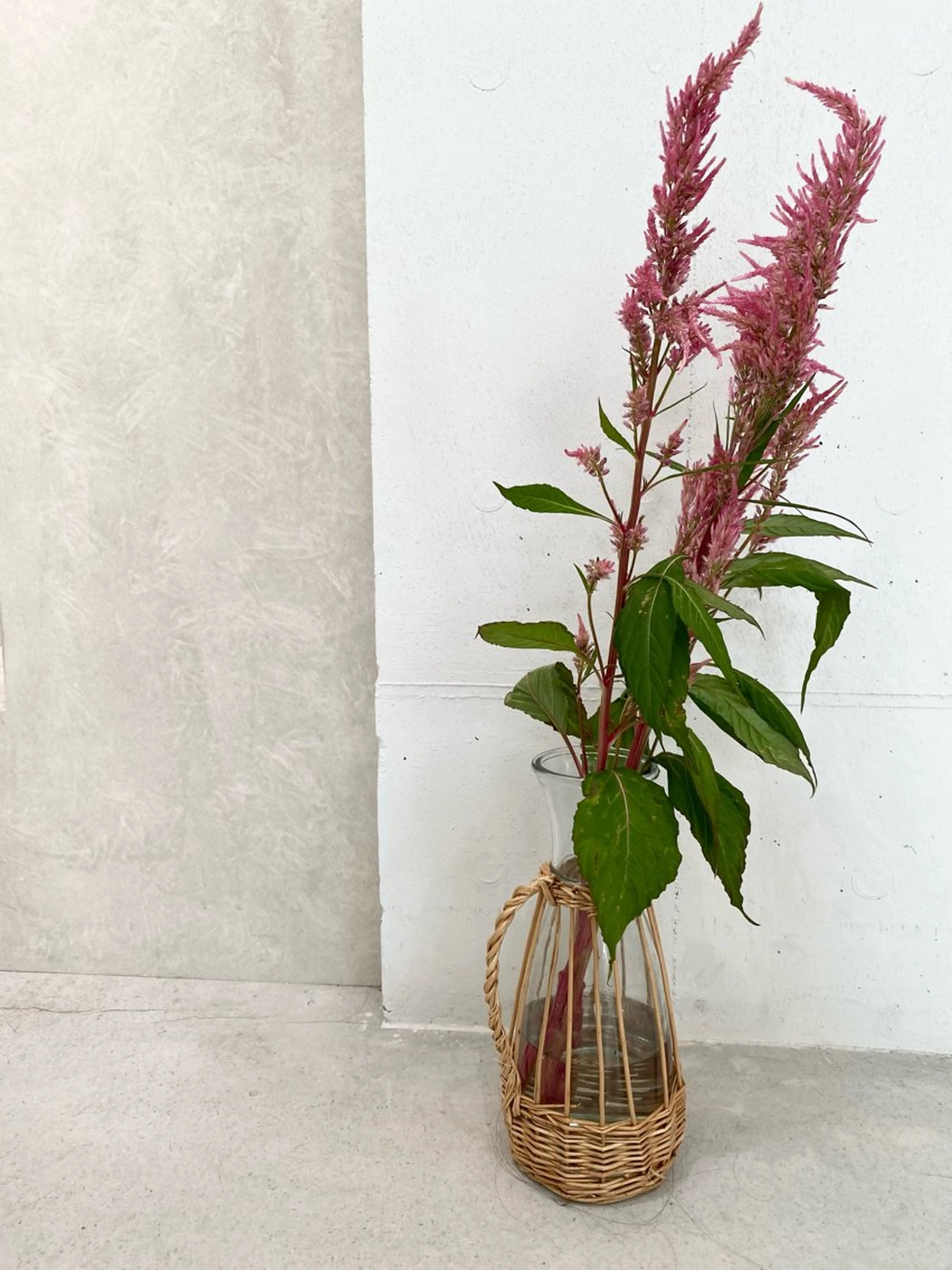 キッズ 子どものヘアアレンジ カット ヘアカラー トリートメント 🪻花屋併設🪻秀島 有紀のヘアスタイル