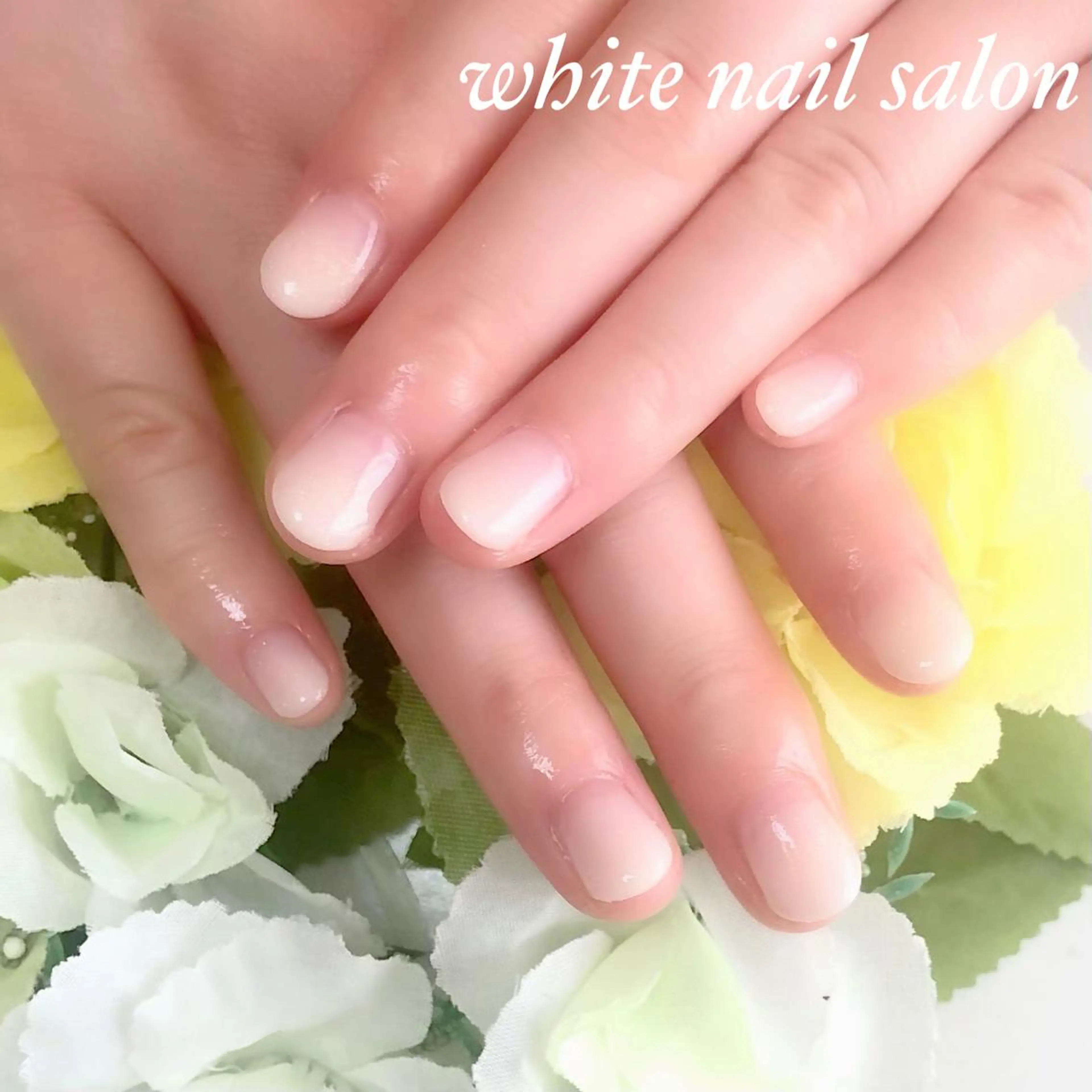 ネイル アートネイル フレンチネイル ジェルネイル グラデーション ハードジェル white nail salonのネイルデザイン