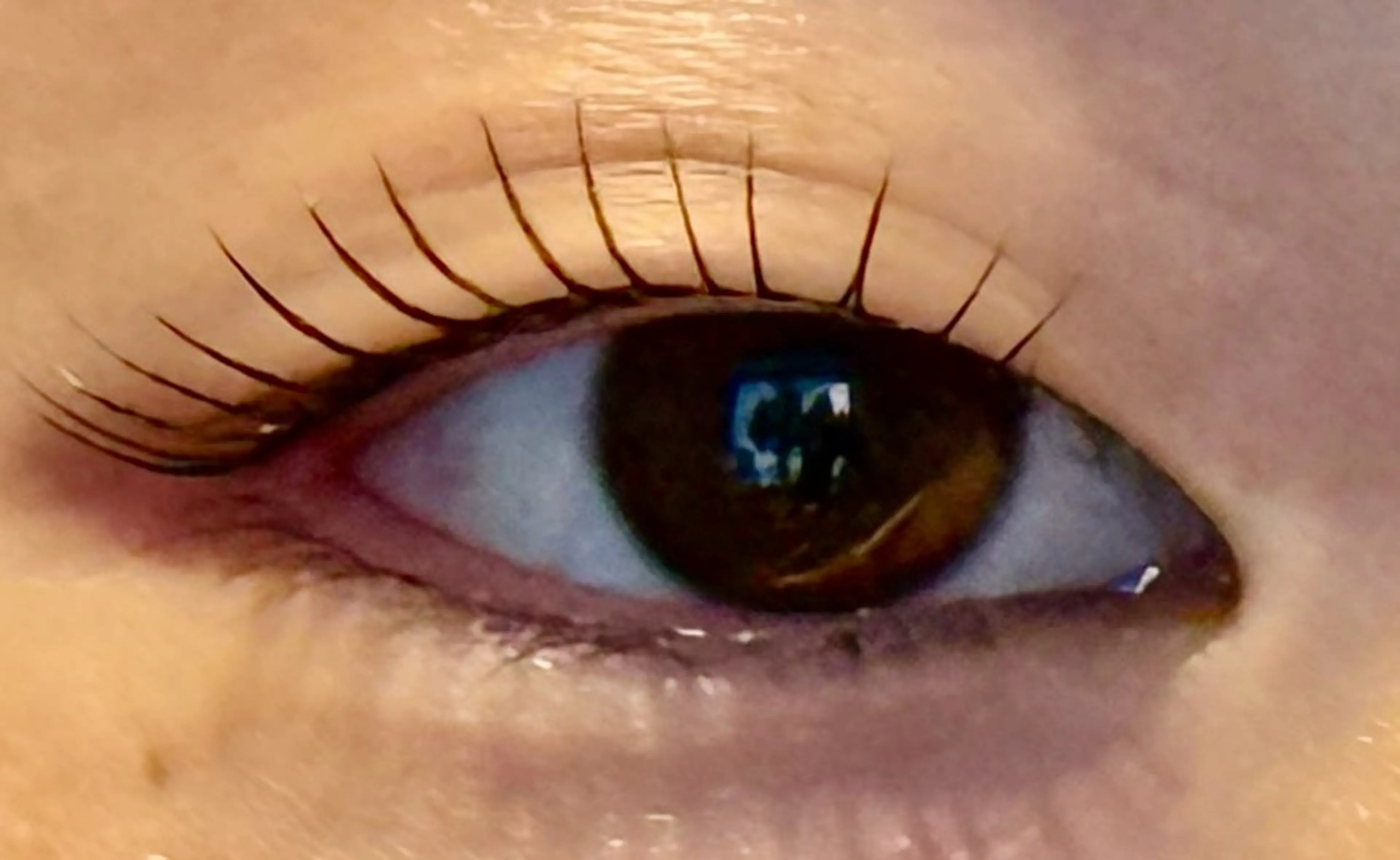 マツエク・マツパ Venus Beauty銀座のマツエク・マツパデザイン