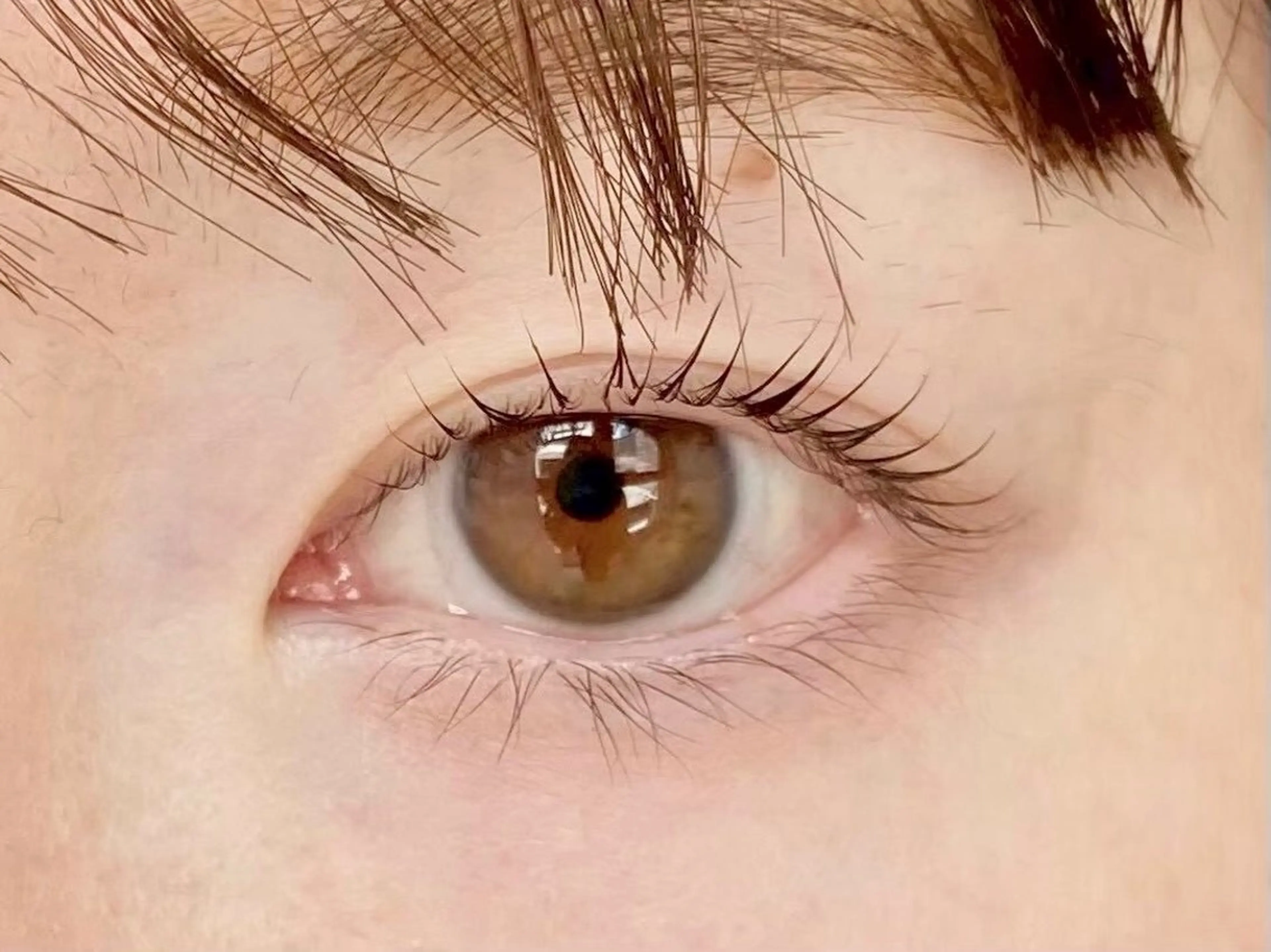 【まつ毛を長く魅せたいあなたに】絶大人気パリジェンヌラッシュリフトの写真