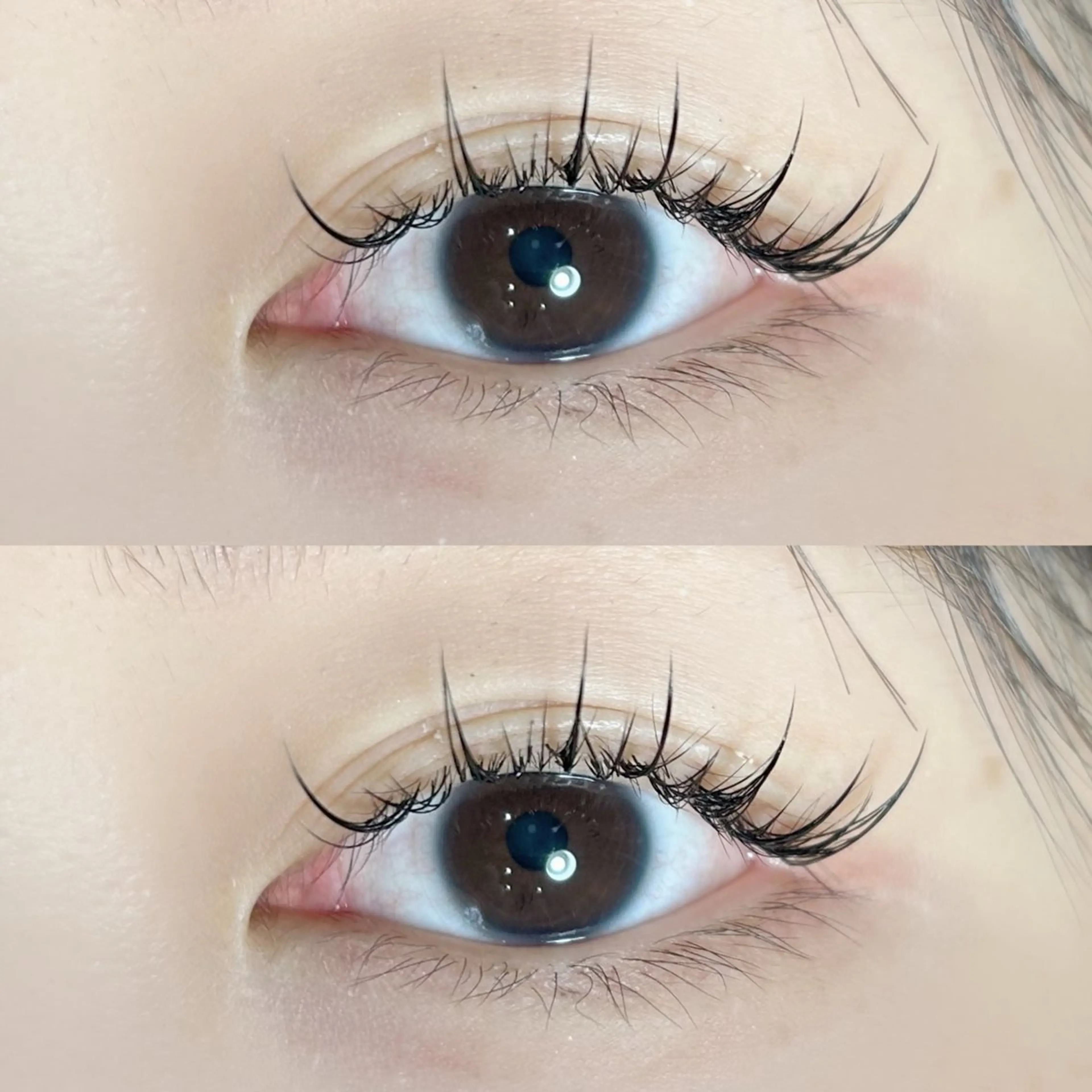 【大流行中デザイン】ワンホンエクステ🇨🇳🐼(フラット120本)の写真