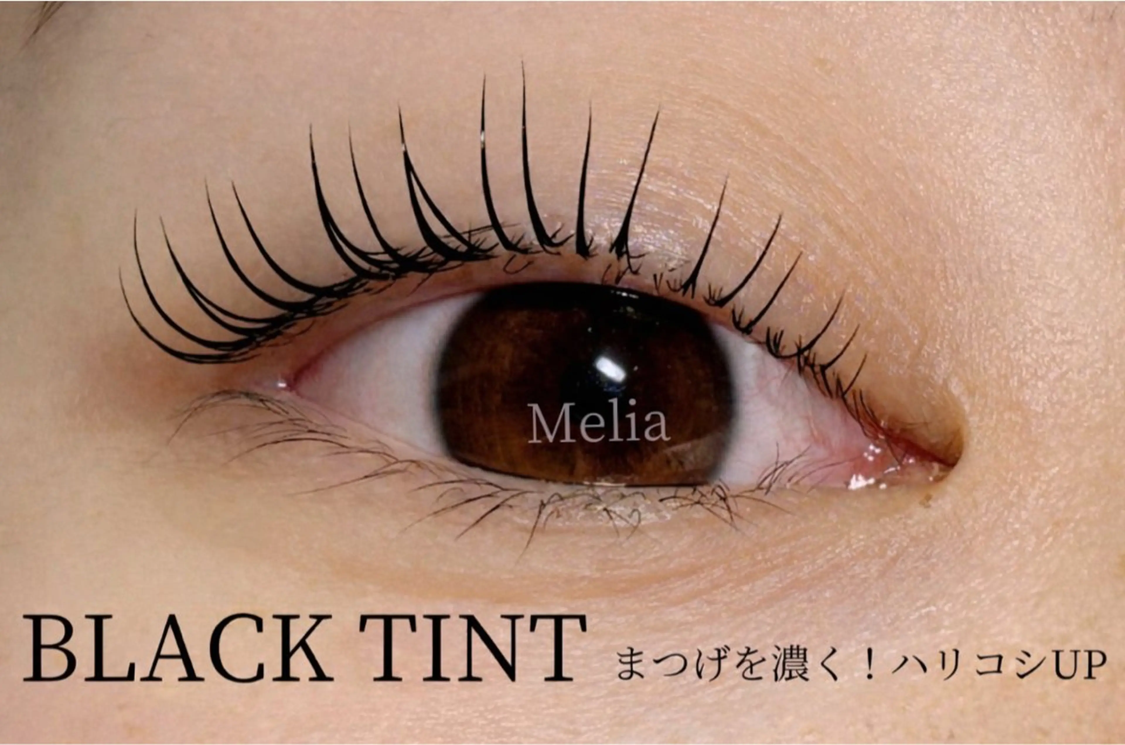似合わせまつげパーマ(上まつげ)+ブラックティントの写真