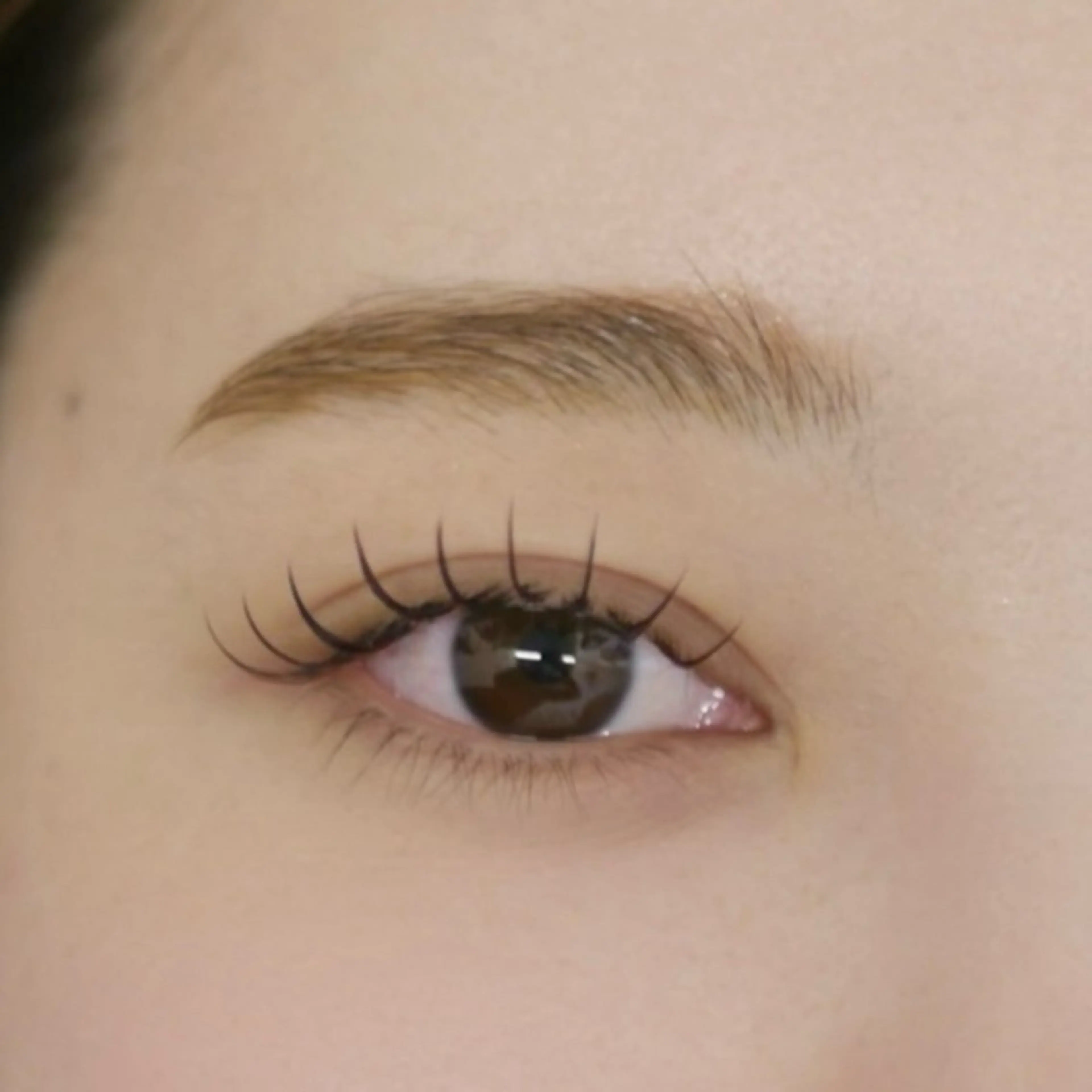 マツエク・マツパ 束感まつ毛 フラットラッシュ マツエク R eyelash ／ suzuのマツエク・マツパデザイン