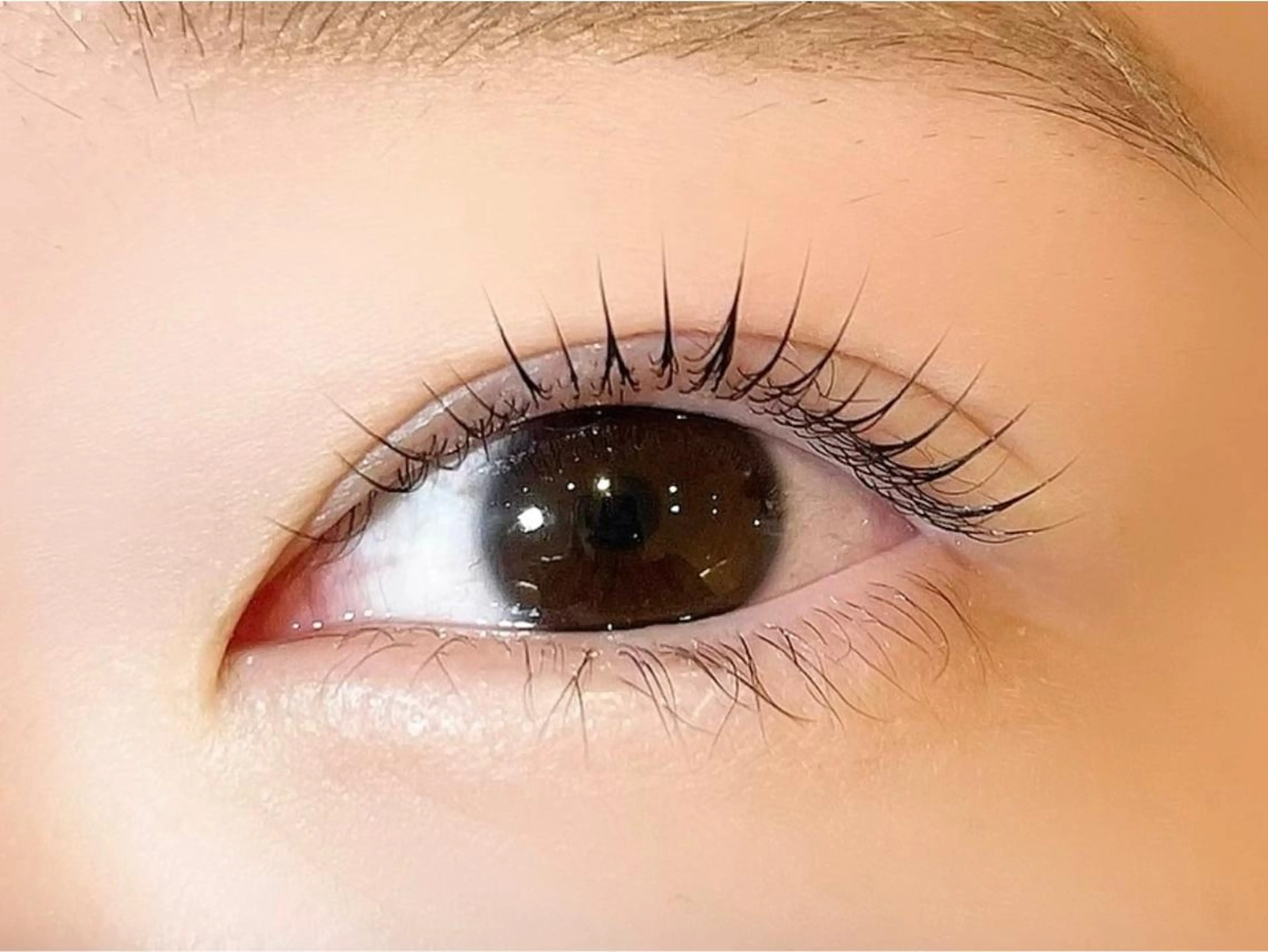 マツエク・マツパ sola: neolive熊田のマツエク・マツパデザイン