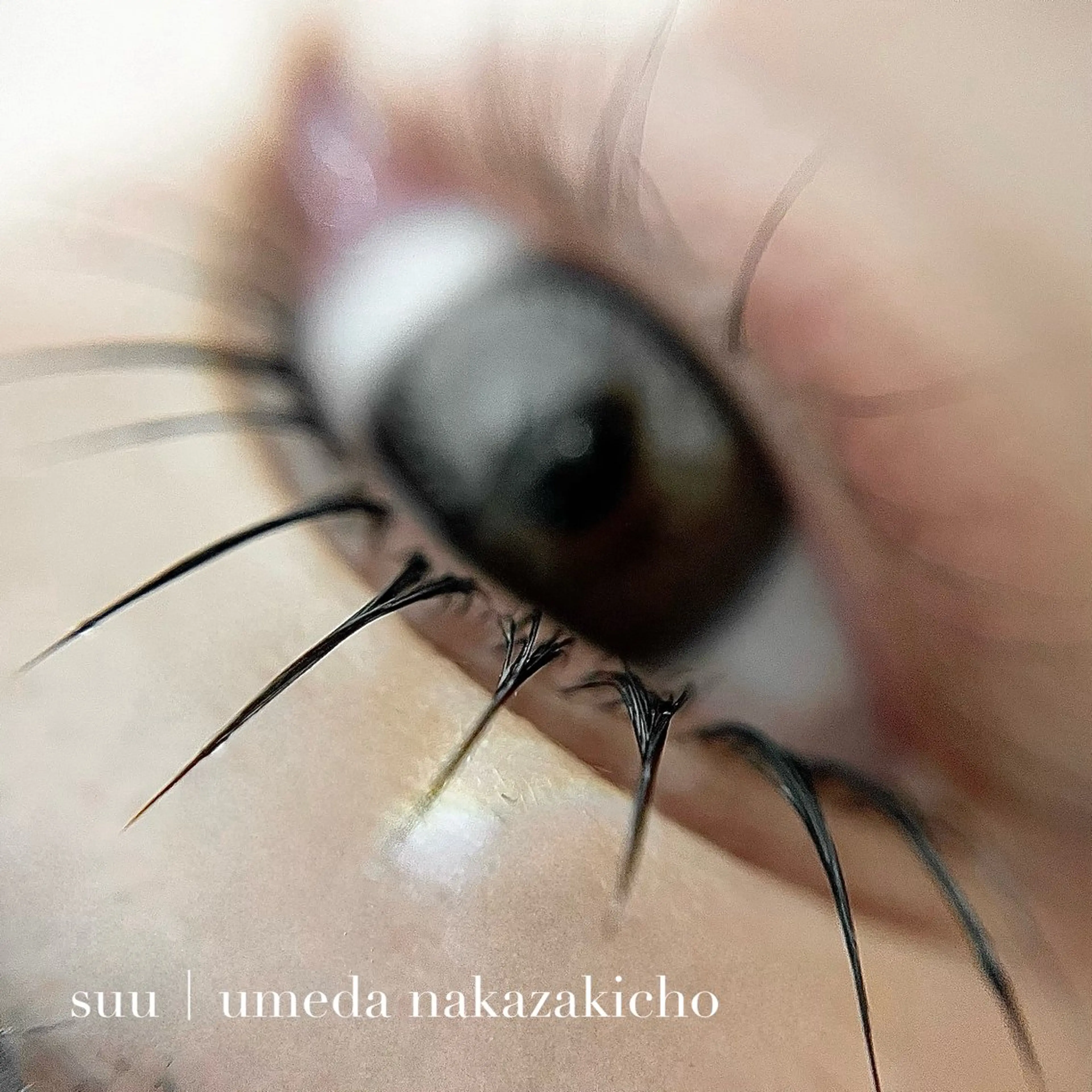 マツエク・マツパ マツパ 韓国束感まつげ｜ MANAMI🧸のマツエク・マツパデザイン