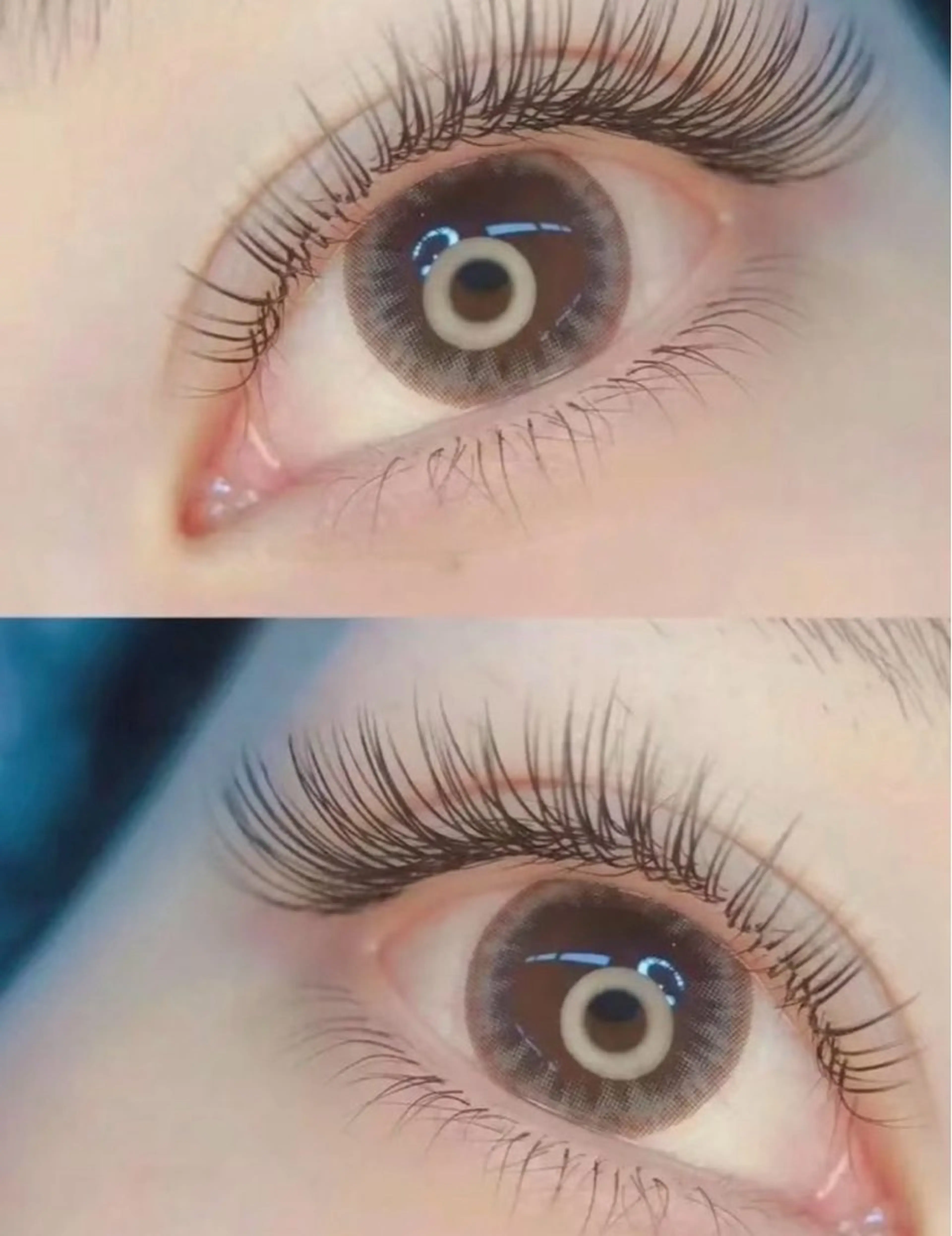 LED高級《フラットラッシュ》140本コーティング付き5480(オフ込み)の写真